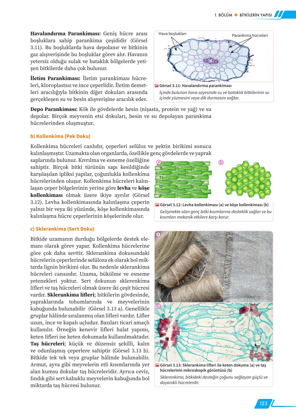12. Sınıf Meb Yayınları Fen Lisesi Biyoloji Ders Kitabı Sayfa 123 Cevapları