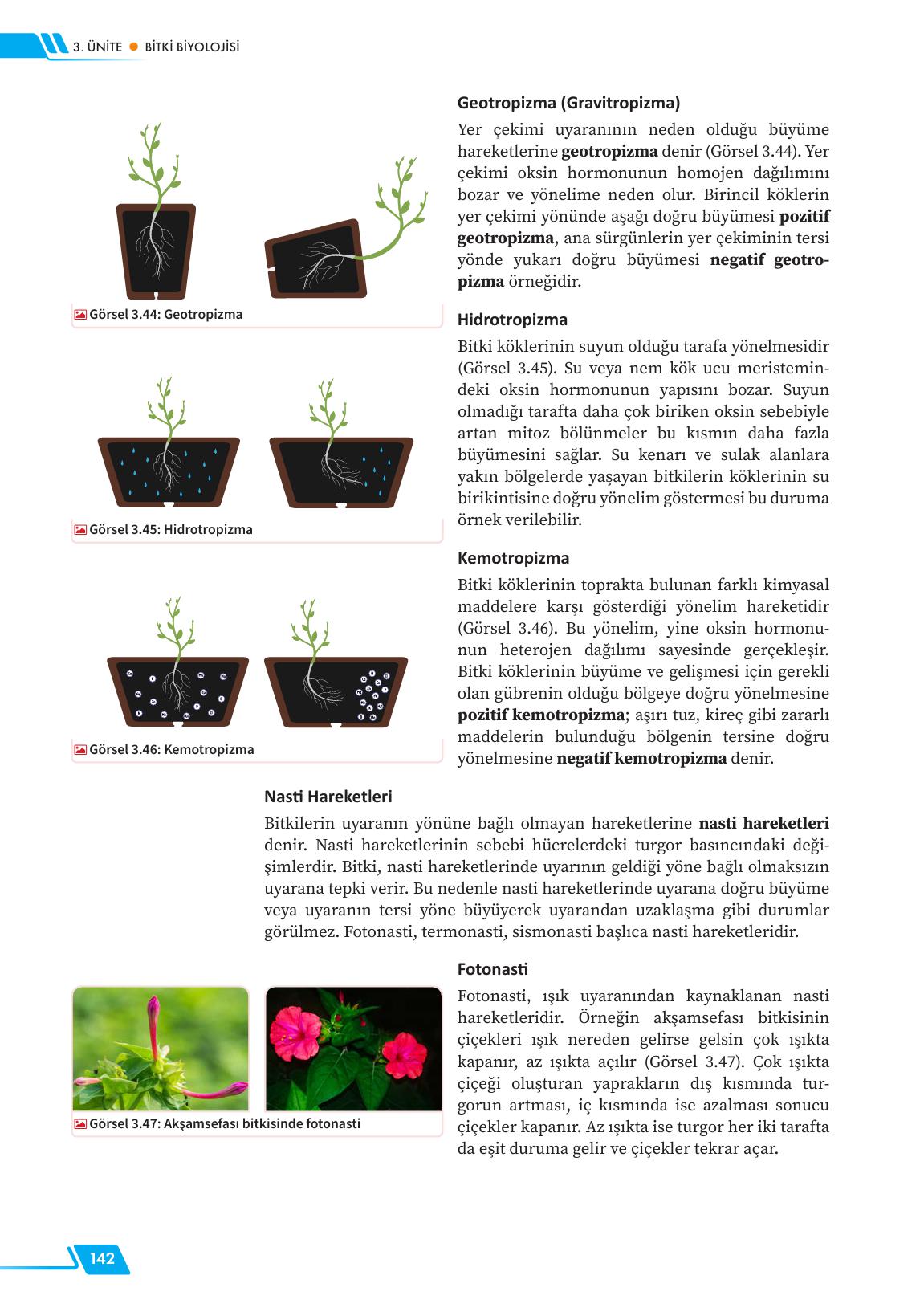 12. Sınıf Meb Yayınları Fen Lisesi Biyoloji Ders Kitabı Sayfa 142 Cevapları 12. Sınıf Meb Yayınları Fen Lisesi Biyoloji Ders Kitabı Sayfa 142 Cevapları