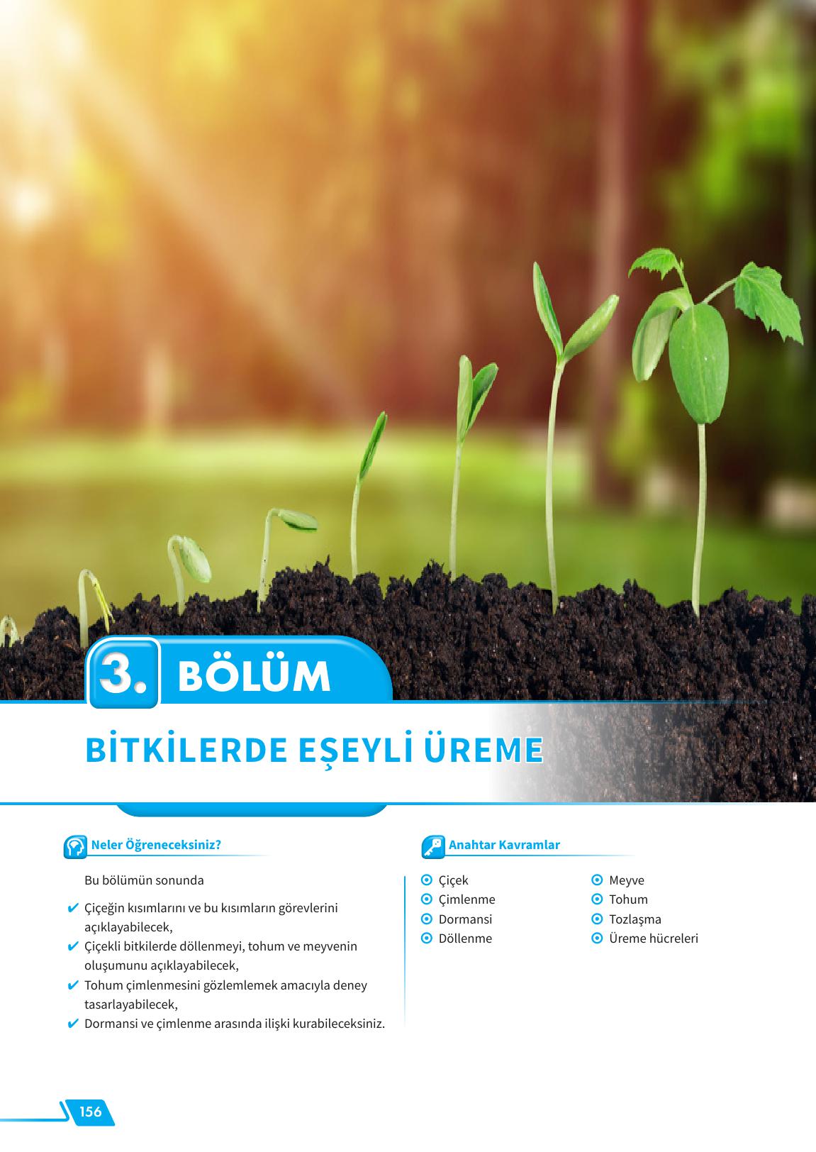 12. Sınıf Meb Yayınları Fen Lisesi Biyoloji Ders Kitabı Sayfa 156 Cevapları 12. Sınıf Meb Yayınları Fen Lisesi Biyoloji Ders Kitabı Sayfa 156 Cevapları