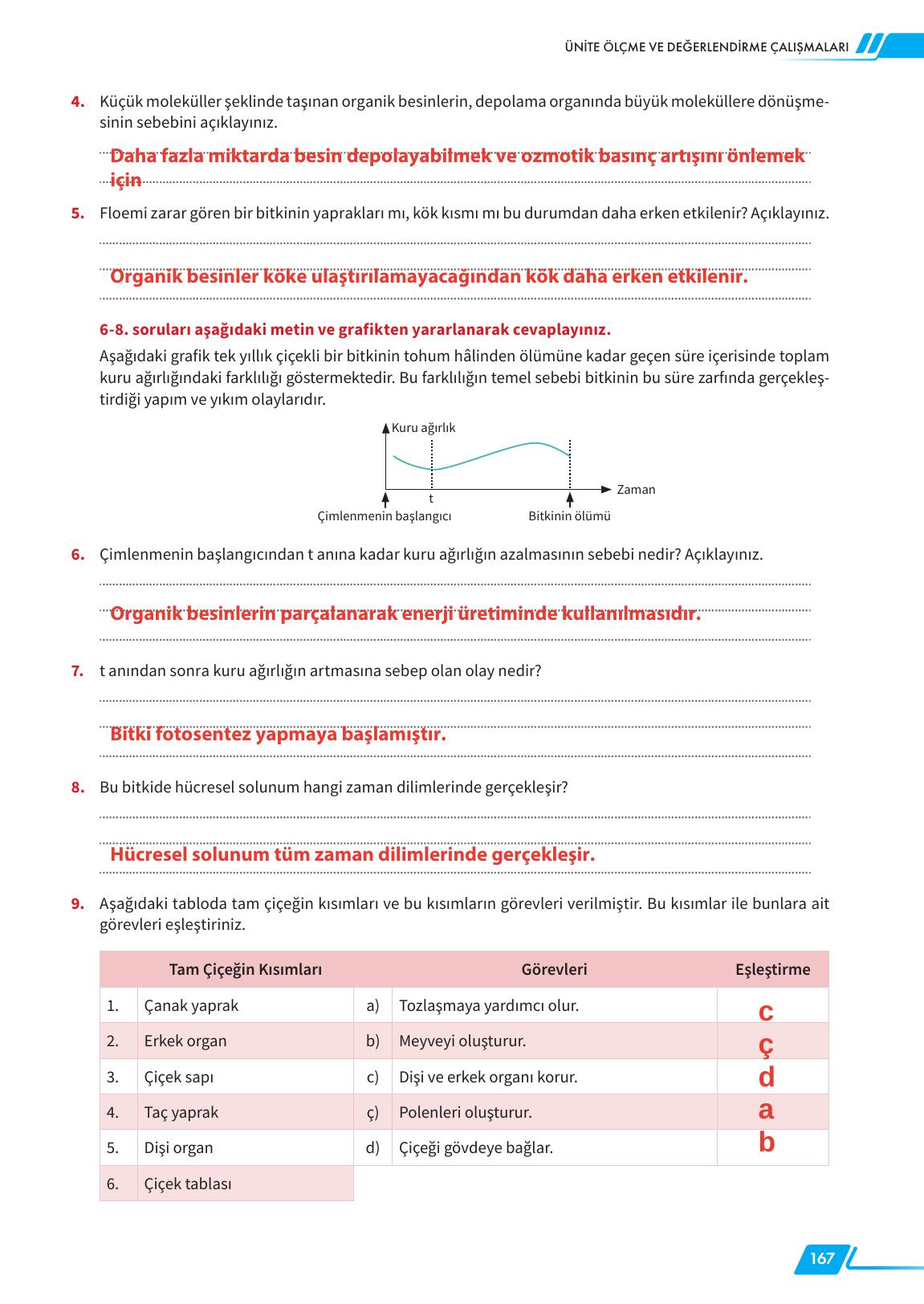 12. Sınıf Meb Yayınları Fen Lisesi Biyoloji Ders Kitabı Sayfa 167 Cevapları 12. Sınıf Meb Yayınları Fen Lisesi Biyoloji Ders Kitabı Sayfa 167 Cevapları