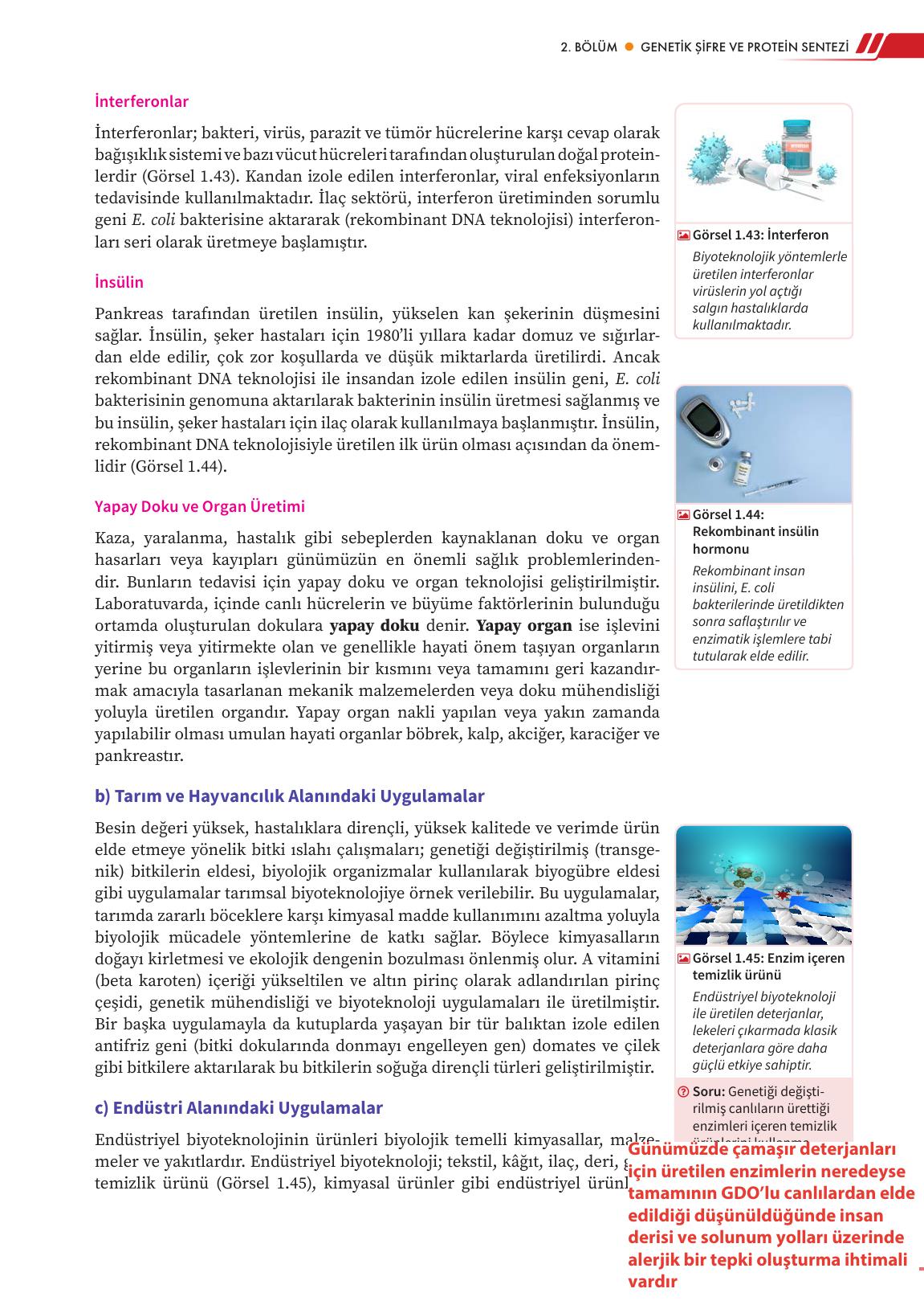 12. Sınıf Meb Yayınları Fen Lisesi Biyoloji Ders Kitabı Sayfa 53 Cevapları 12. Sınıf Meb Yayınları Fen Lisesi Biyoloji Ders Kitabı Sayfa 53 Cevapları