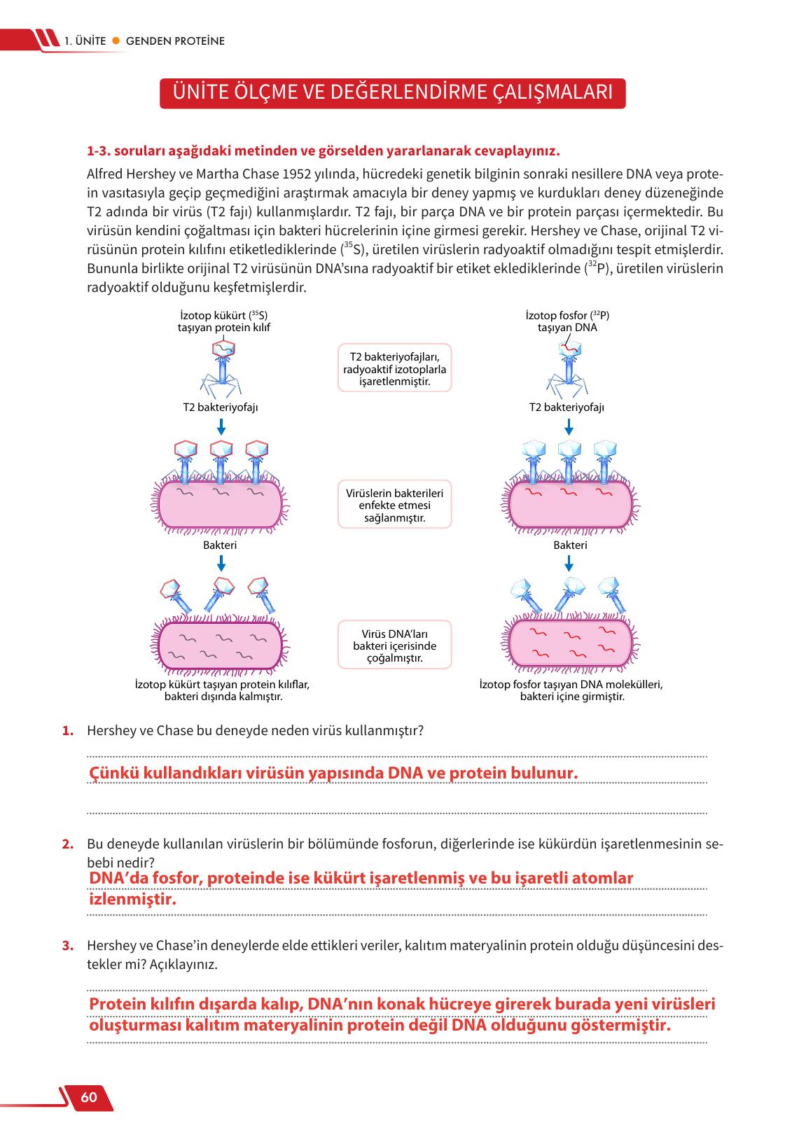 12. Sınıf Meb Yayınları Fen Lisesi Biyoloji Ders Kitabı Sayfa 60 Cevapları 12. Sınıf Meb Yayınları Fen Lisesi Biyoloji Ders Kitabı Sayfa 60 Cevapları
