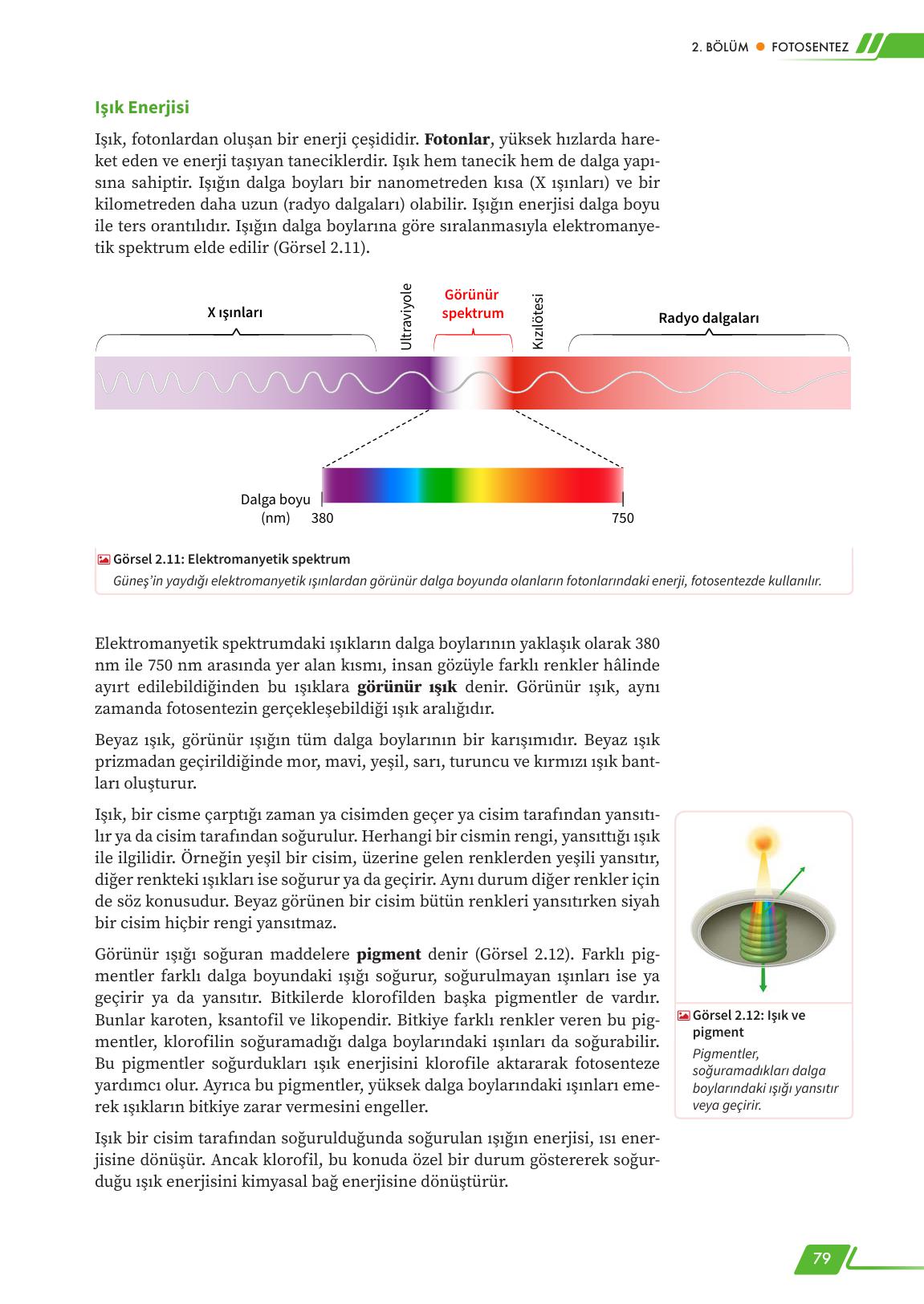 12. Sınıf Meb Yayınları Fen Lisesi Biyoloji Ders Kitabı Sayfa 79 Cevapları