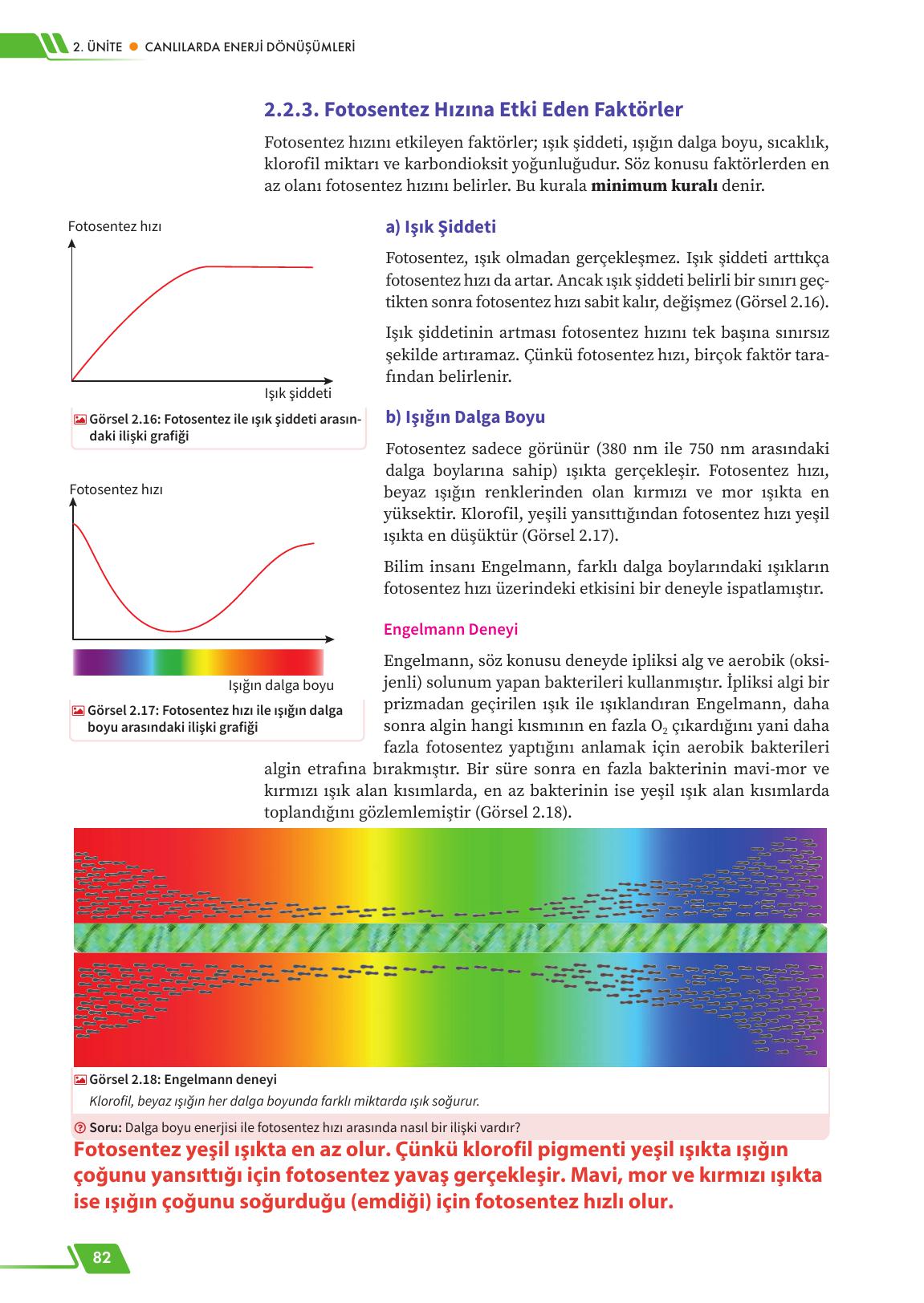 12. Sınıf Meb Yayınları Fen Lisesi Biyoloji Ders Kitabı Sayfa 82 Cevapları 12. Sınıf Meb Yayınları Fen Lisesi Biyoloji Ders Kitabı Sayfa 82 Cevapları