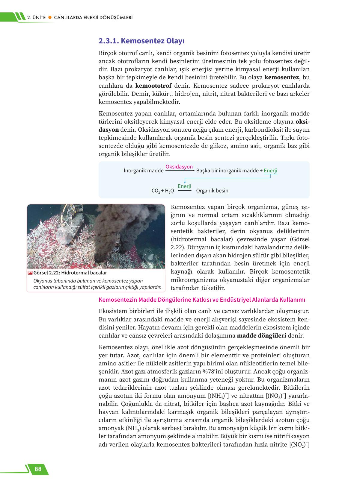 12. Sınıf Meb Yayınları Fen Lisesi Biyoloji Ders Kitabı Sayfa 88 Cevapları 12. Sınıf Meb Yayınları Fen Lisesi Biyoloji Ders Kitabı Sayfa 88 Cevapları
