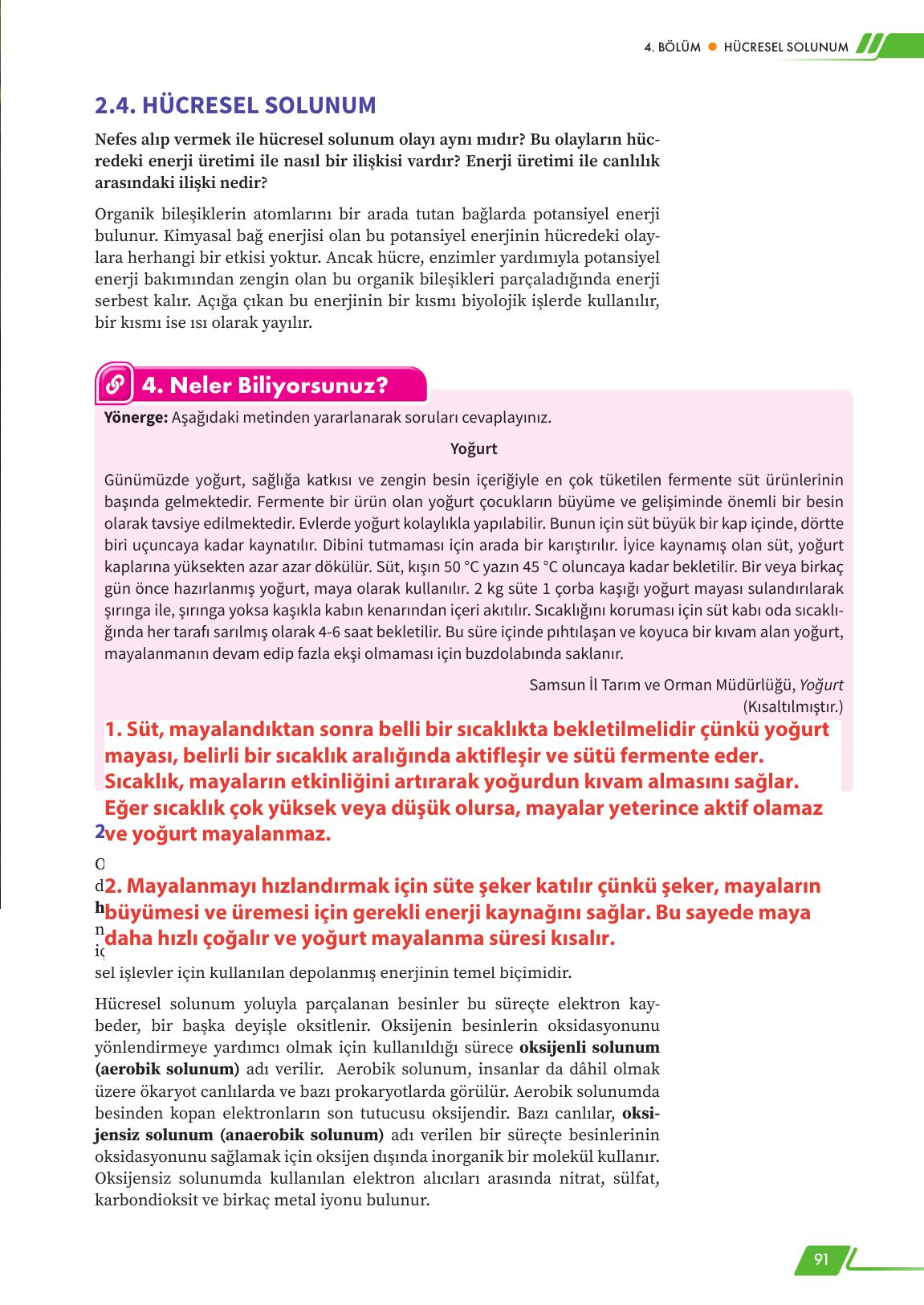 12. Sınıf Meb Yayınları Fen Lisesi Biyoloji Ders Kitabı Sayfa 91 Cevapları 12. Sınıf Meb Yayınları Fen Lisesi Biyoloji Ders Kitabı Sayfa 91 Cevapları