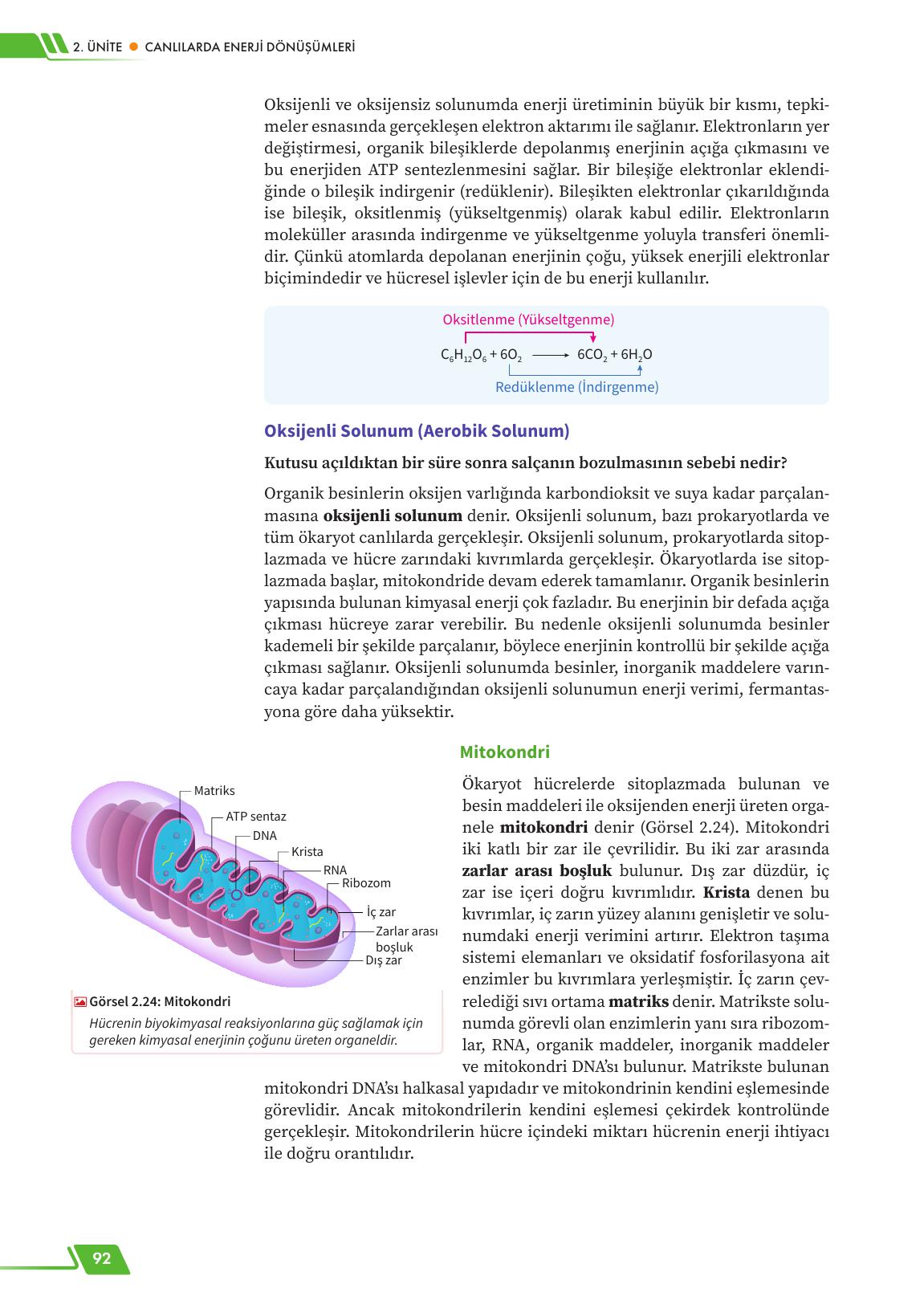 12. Sınıf Meb Yayınları Fen Lisesi Biyoloji Ders Kitabı Sayfa 92 Cevapları 12. Sınıf Meb Yayınları Fen Lisesi Biyoloji Ders Kitabı Sayfa 92 Cevapları