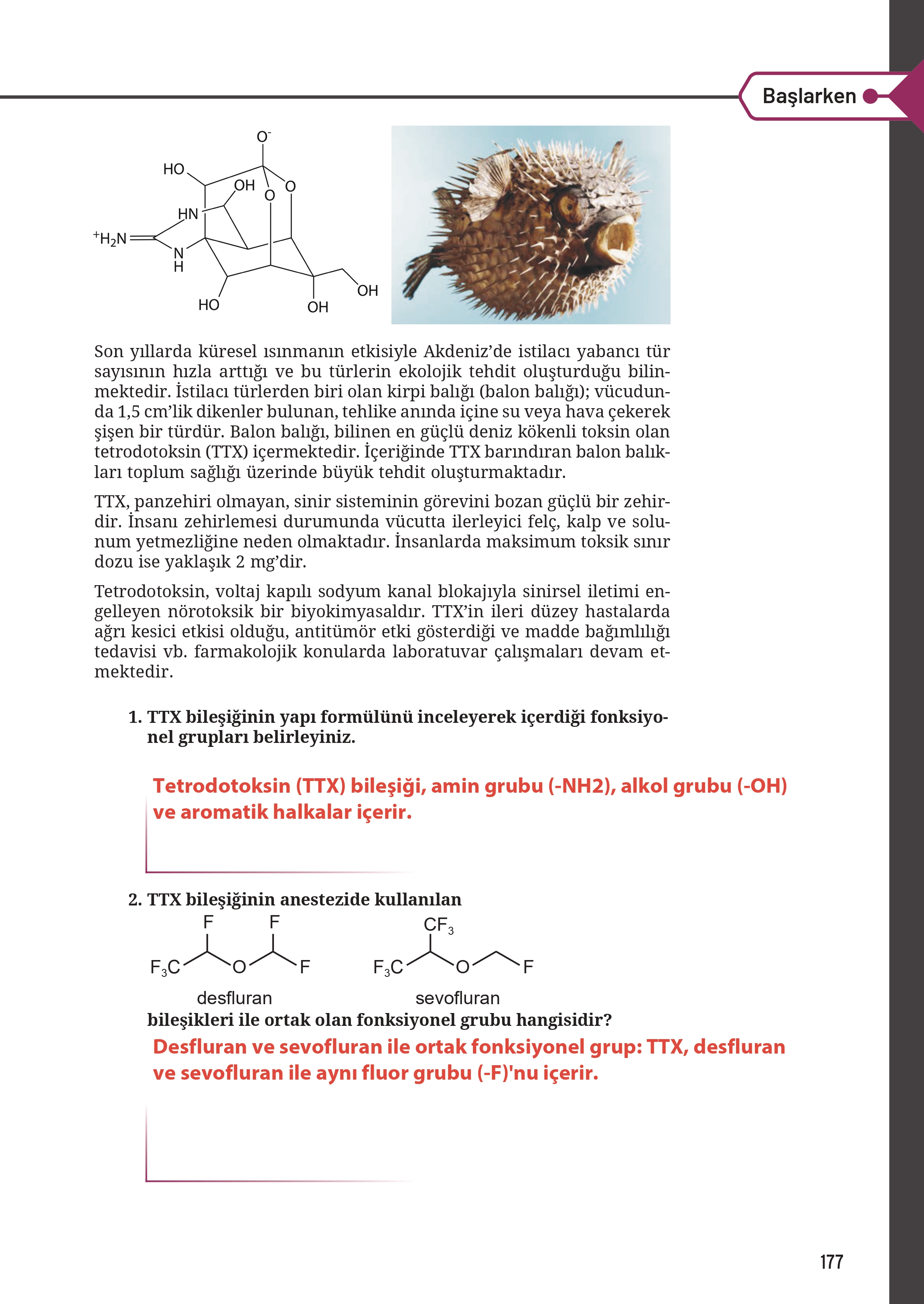 12. Sınıf Meb Yayınları Fen Lisesi Kimya Ders Kitabı Sayfa 177 Cevapları 12. Sınıf Meb Yayınları Fen Lisesi Kimya Ders Kitabı Sayfa 177 Cevapları