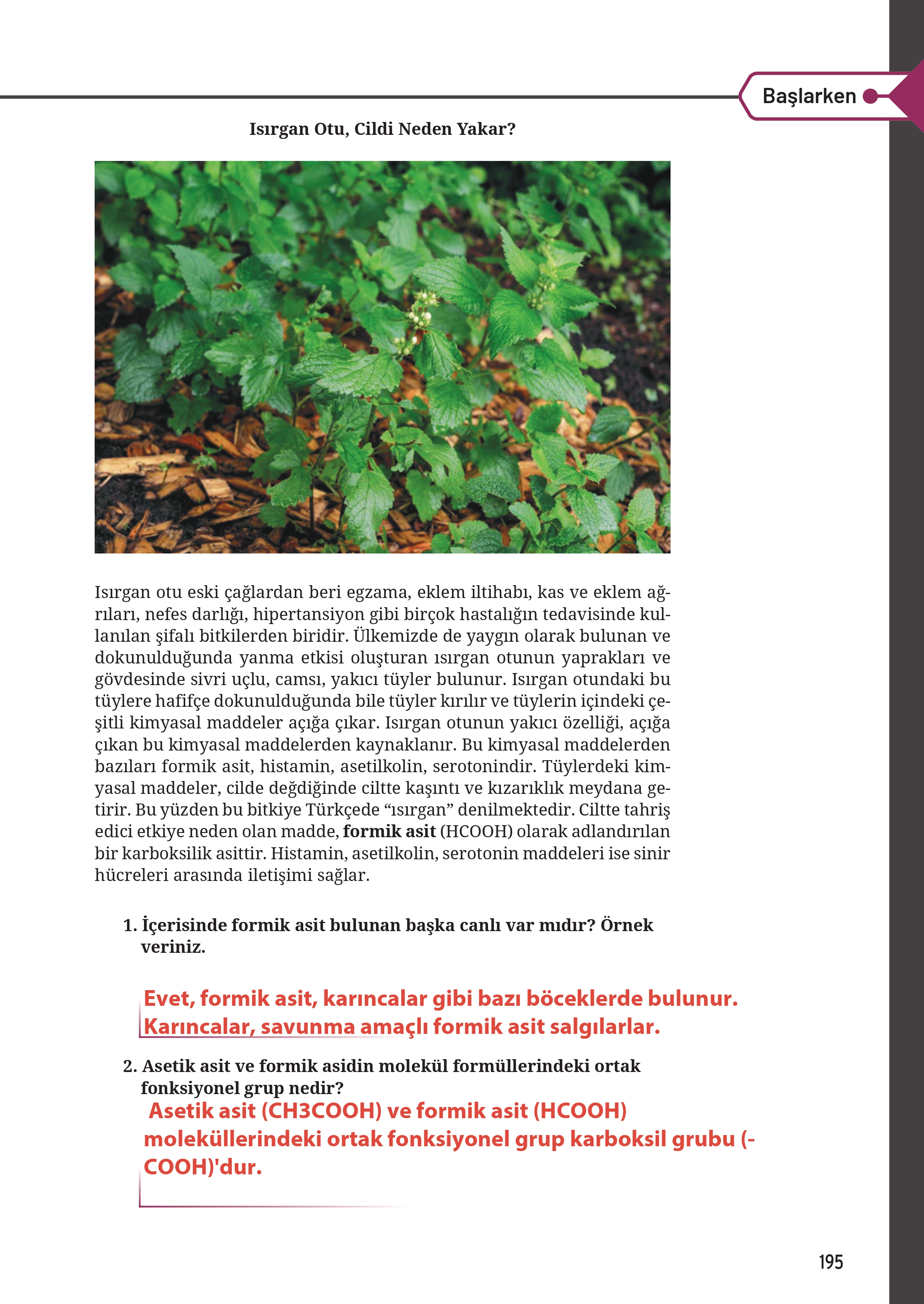 12. Sınıf Meb Yayınları Fen Lisesi Kimya Ders Kitabı Sayfa 195 Cevapları 12. Sınıf Meb Yayınları Fen Lisesi Kimya Ders Kitabı Sayfa 195 Cevapları