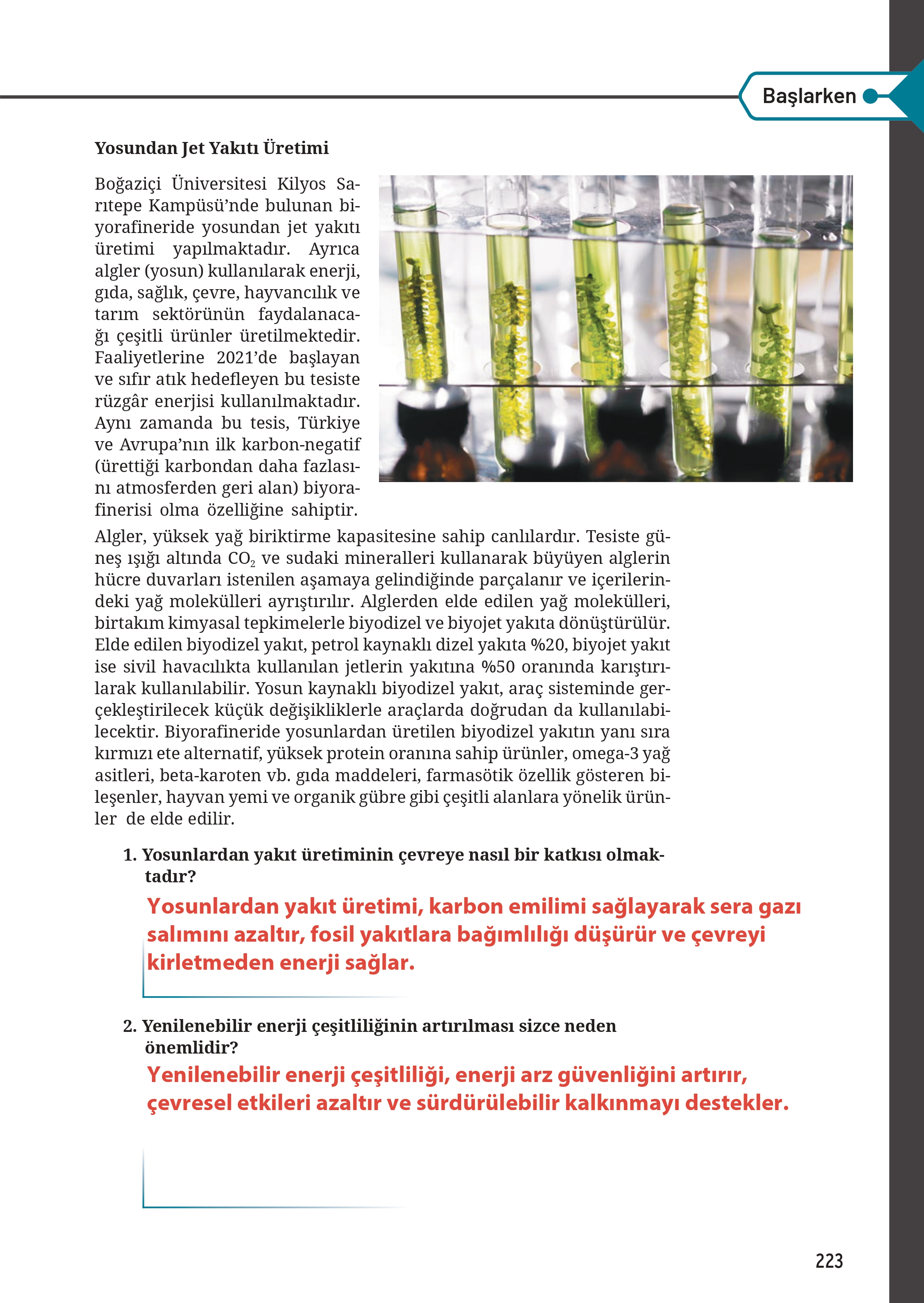 12. Sınıf Meb Yayınları Fen Lisesi Kimya Ders Kitabı Sayfa 223 Cevapları
