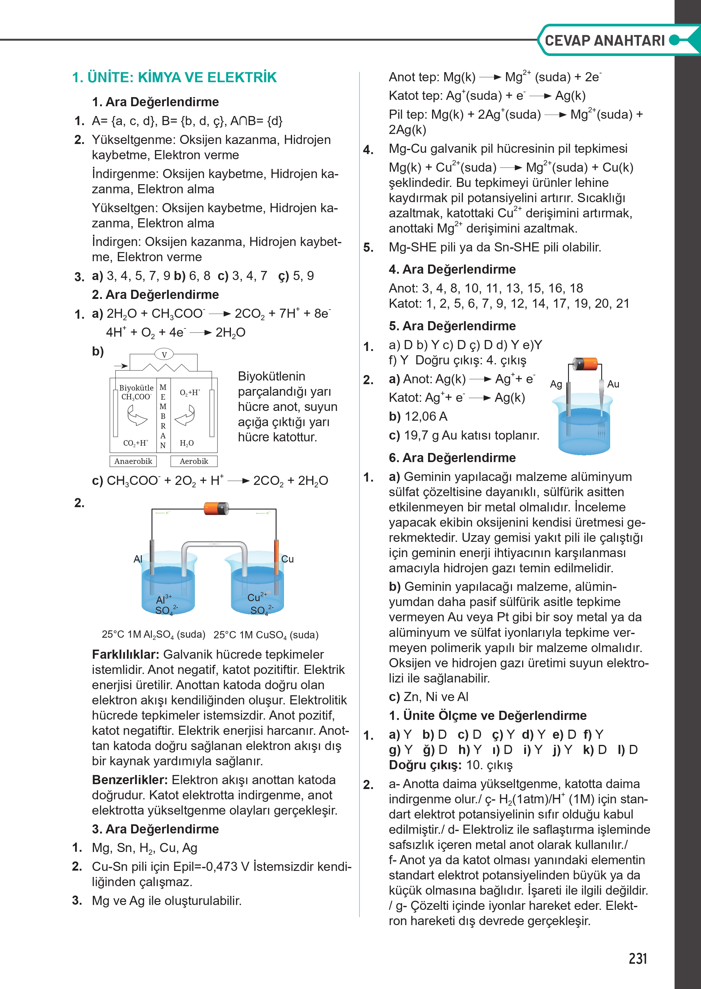 12. Sınıf Meb Yayınları Fen Lisesi Kimya Ders Kitabı Sayfa 231 Cevapları 12. Sınıf Meb Yayınları Fen Lisesi Kimya Ders Kitabı Sayfa 231 Cevapları