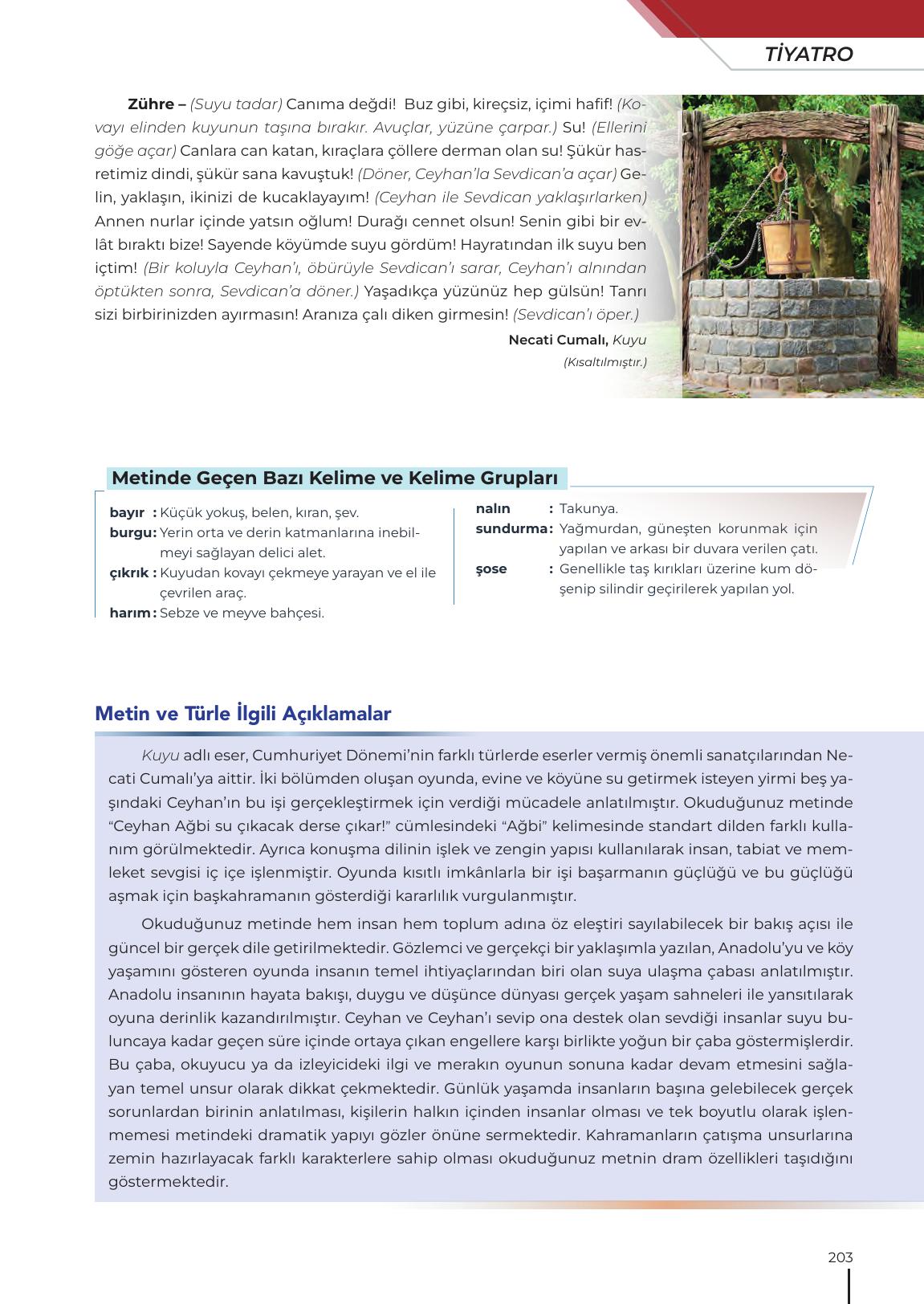 12. Sınıf Meb Yayınları Türk Dili Ve Edebiyatı Ders Kitabı Sayfa 203 Cevapları