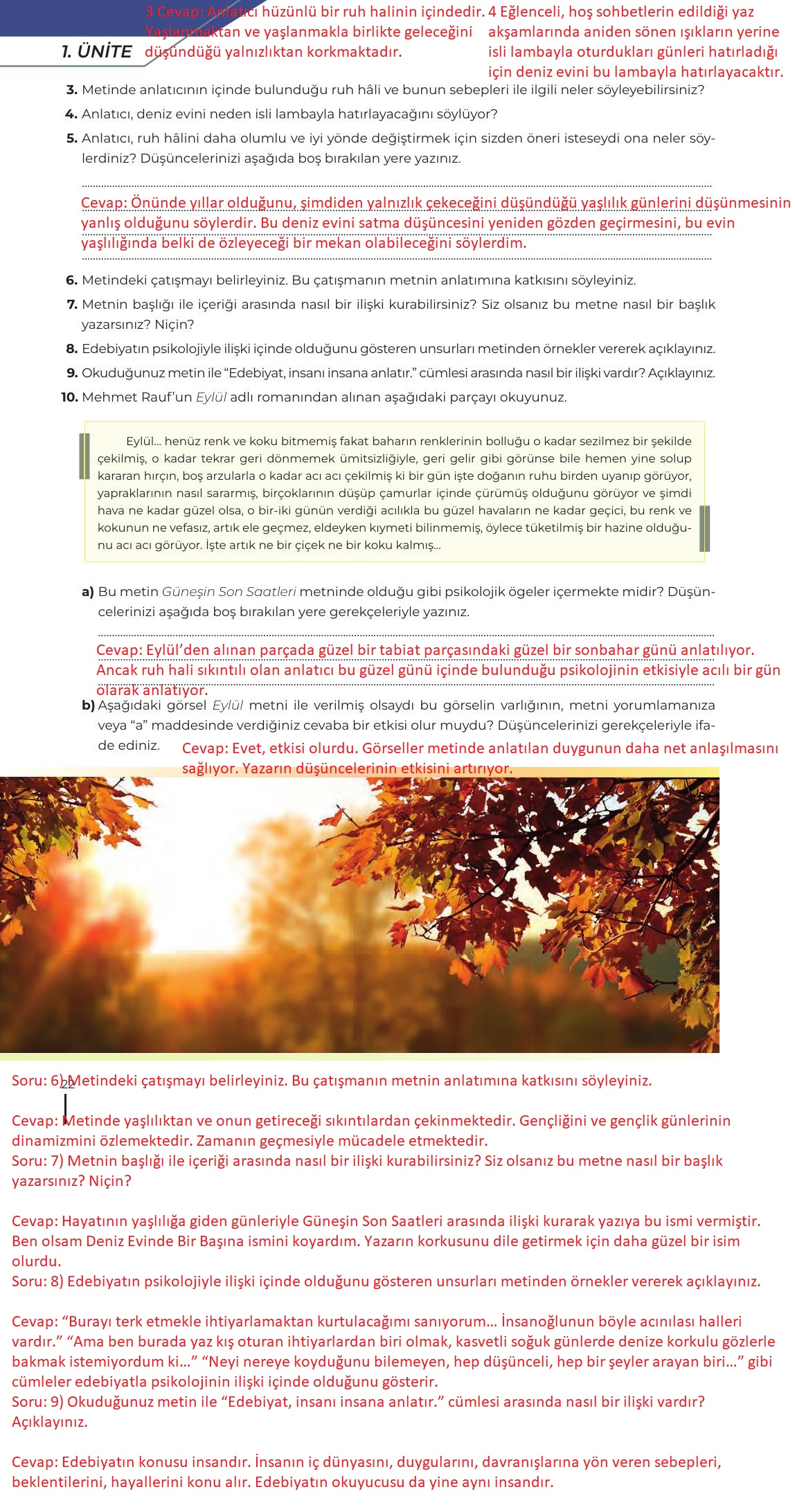 12. Sınıf Meb Yayınları Türk Dili Ve Edebiyatı Ders Kitabı Sayfa 22 Cevapları 12. Sınıf Meb Yayınları Türk Dili Ve Edebiyatı Ders Kitabı Sayfa 22 Cevapları