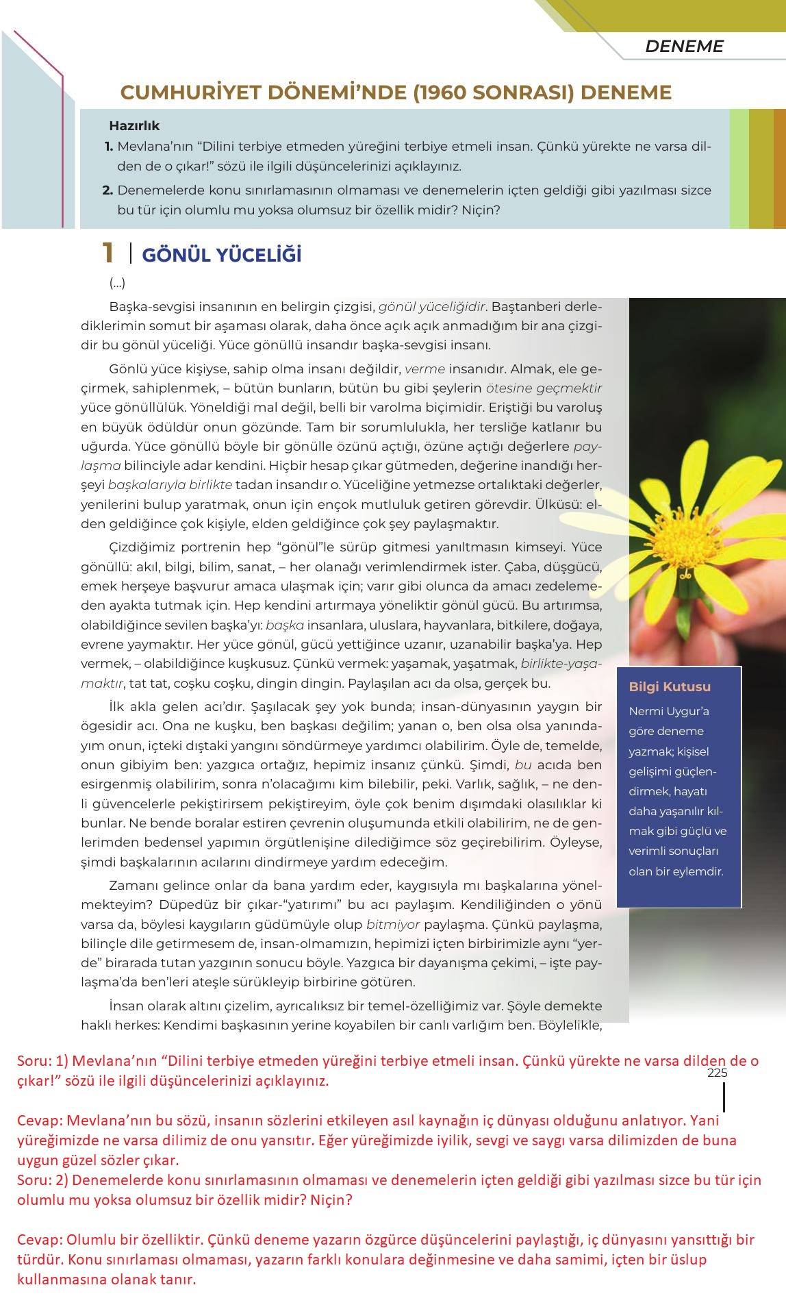 12. Sınıf Meb Yayınları Türk Dili Ve Edebiyatı Ders Kitabı Sayfa 225 Cevapları