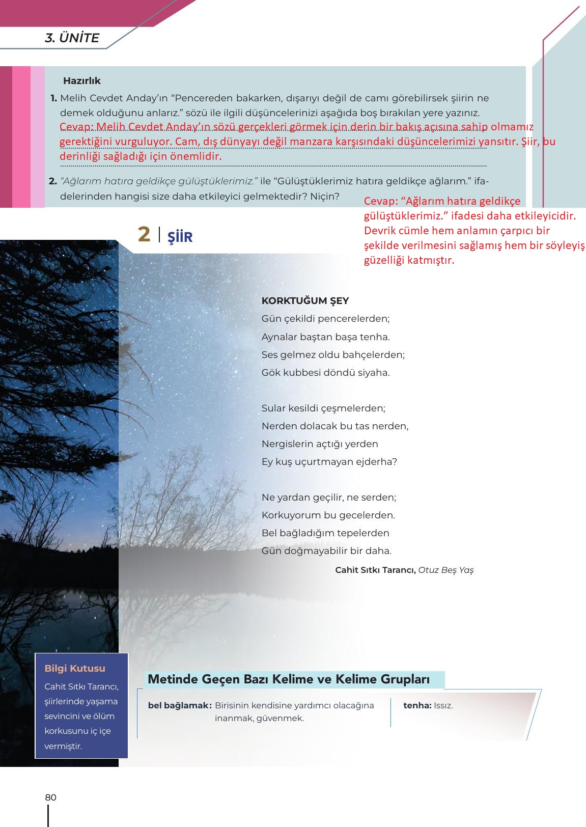 12. Sınıf Meb Yayınları Türk Dili Ve Edebiyatı Ders Kitabı Sayfa 80 Cevapları