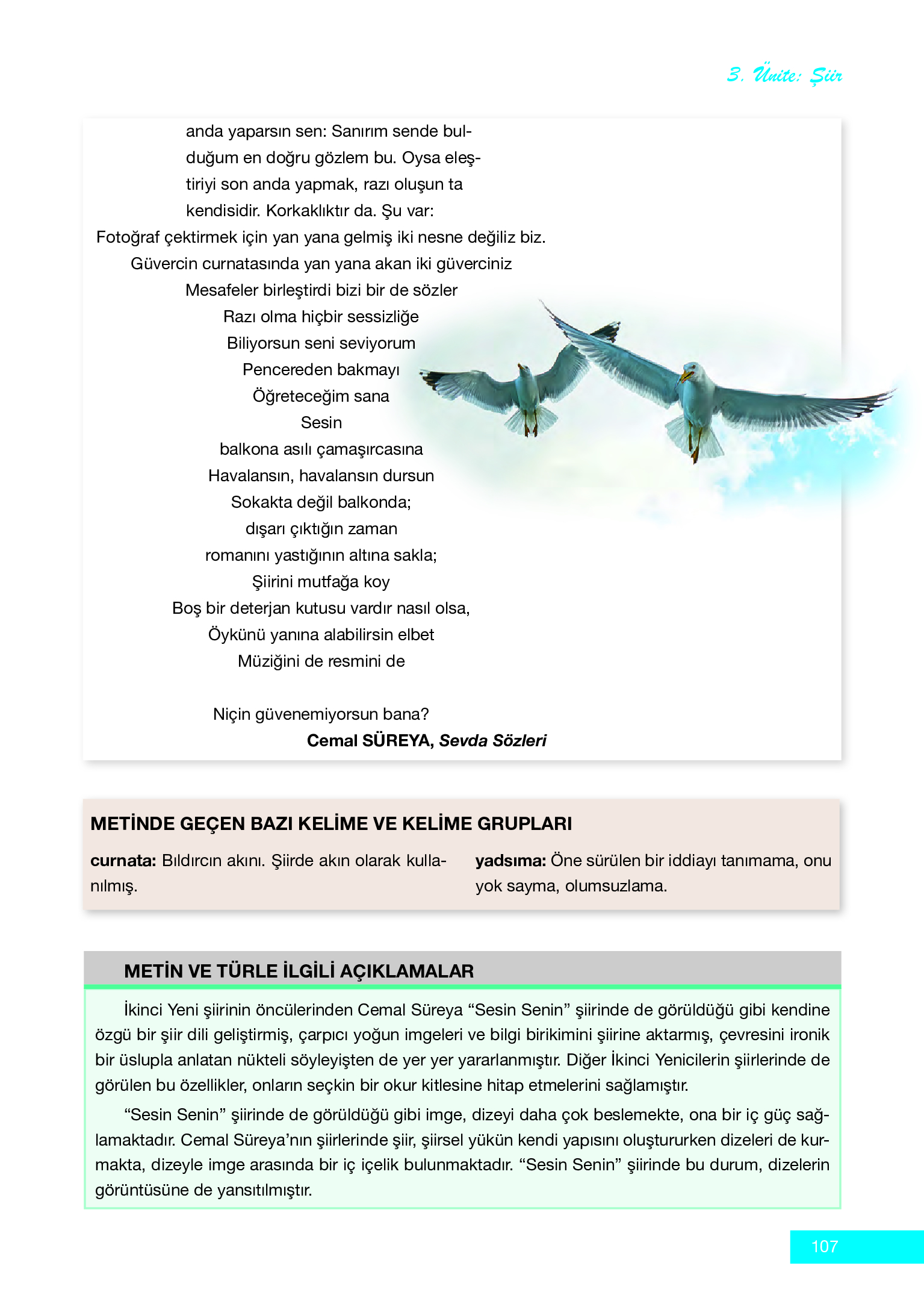 12. Sınıf Melis Yayınları Türk Dili Ve Edebiyatı Ders Kitabı Sayfa 107 Cevapları