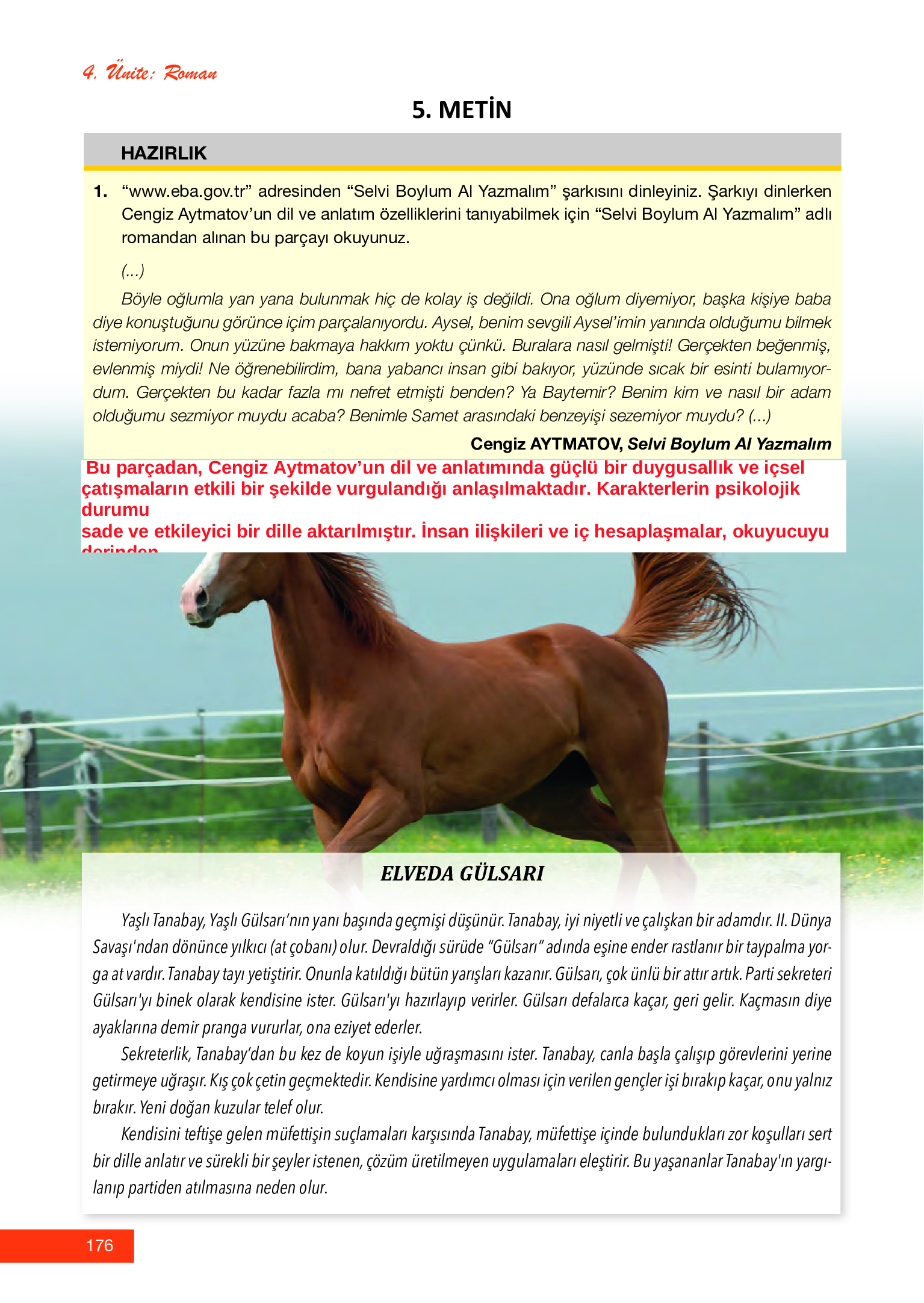 12. Sınıf Melis Yayınları Türk Dili Ve Edebiyatı Ders Kitabı Sayfa 176 Cevapları