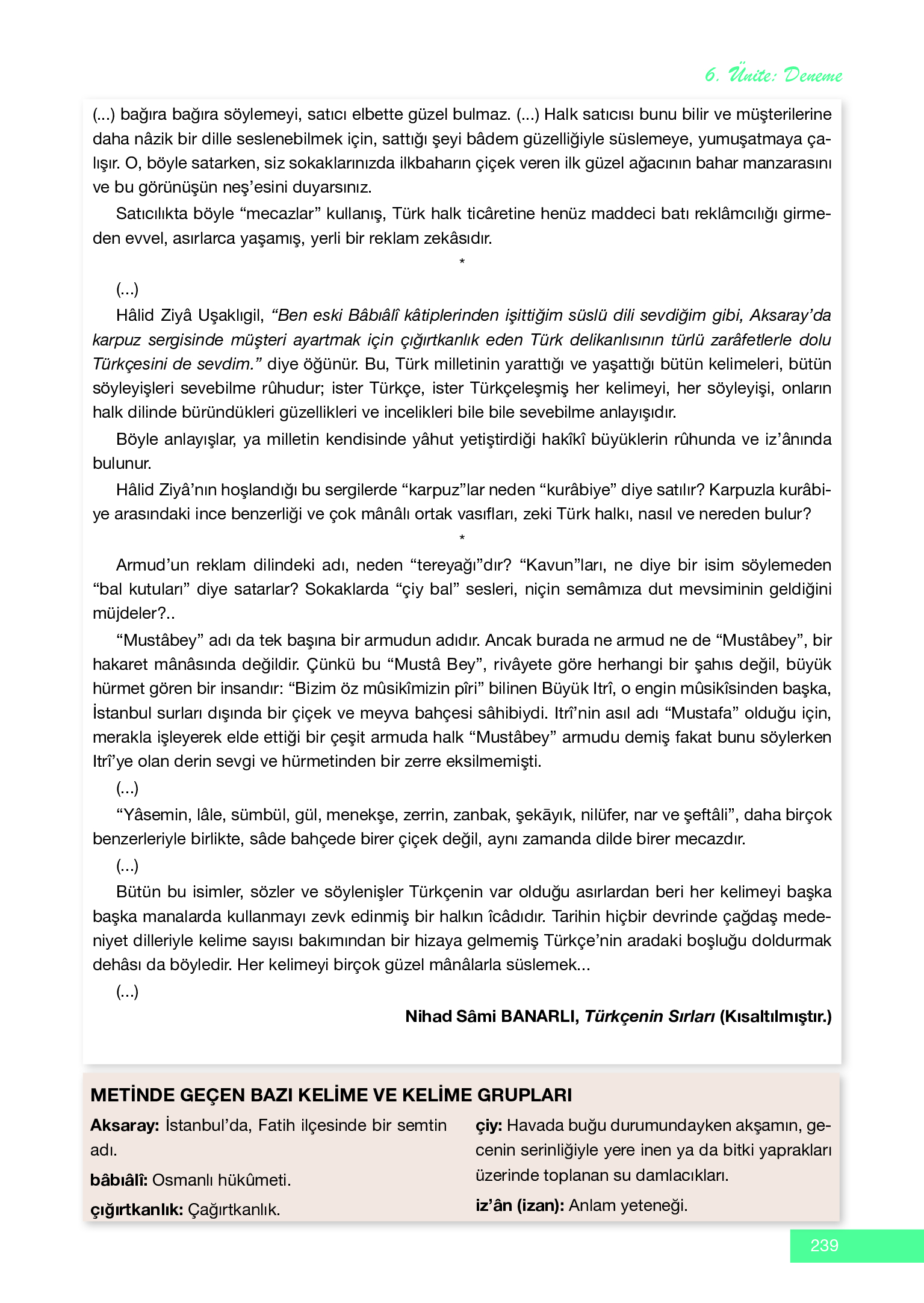12. Sınıf Melis Yayınları Türk Dili Ve Edebiyatı Ders Kitabı Sayfa 239 Cevapları