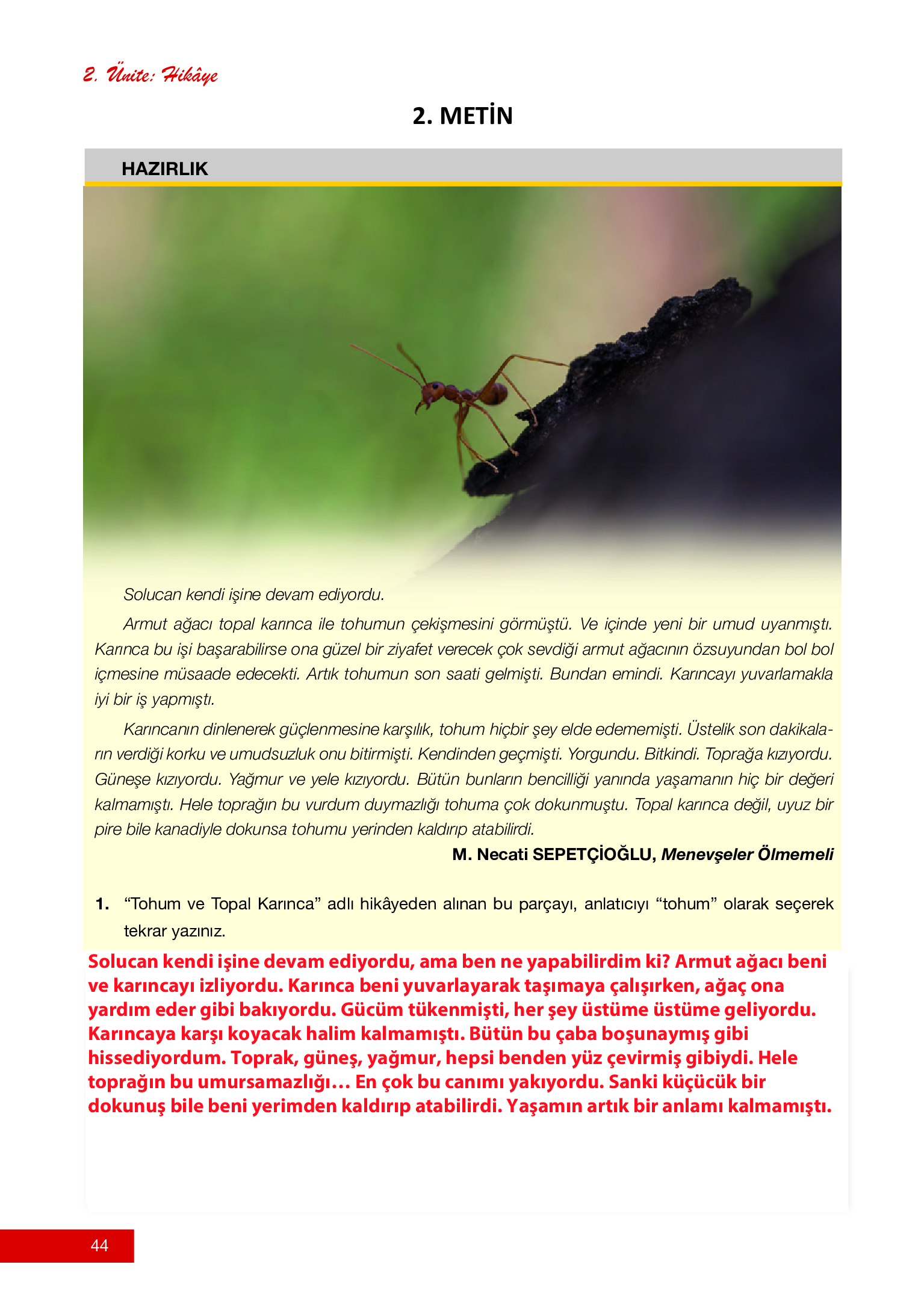 12. Sınıf Melis Yayınları Türk Dili Ve Edebiyatı Ders Kitabı Sayfa 44 Cevapları