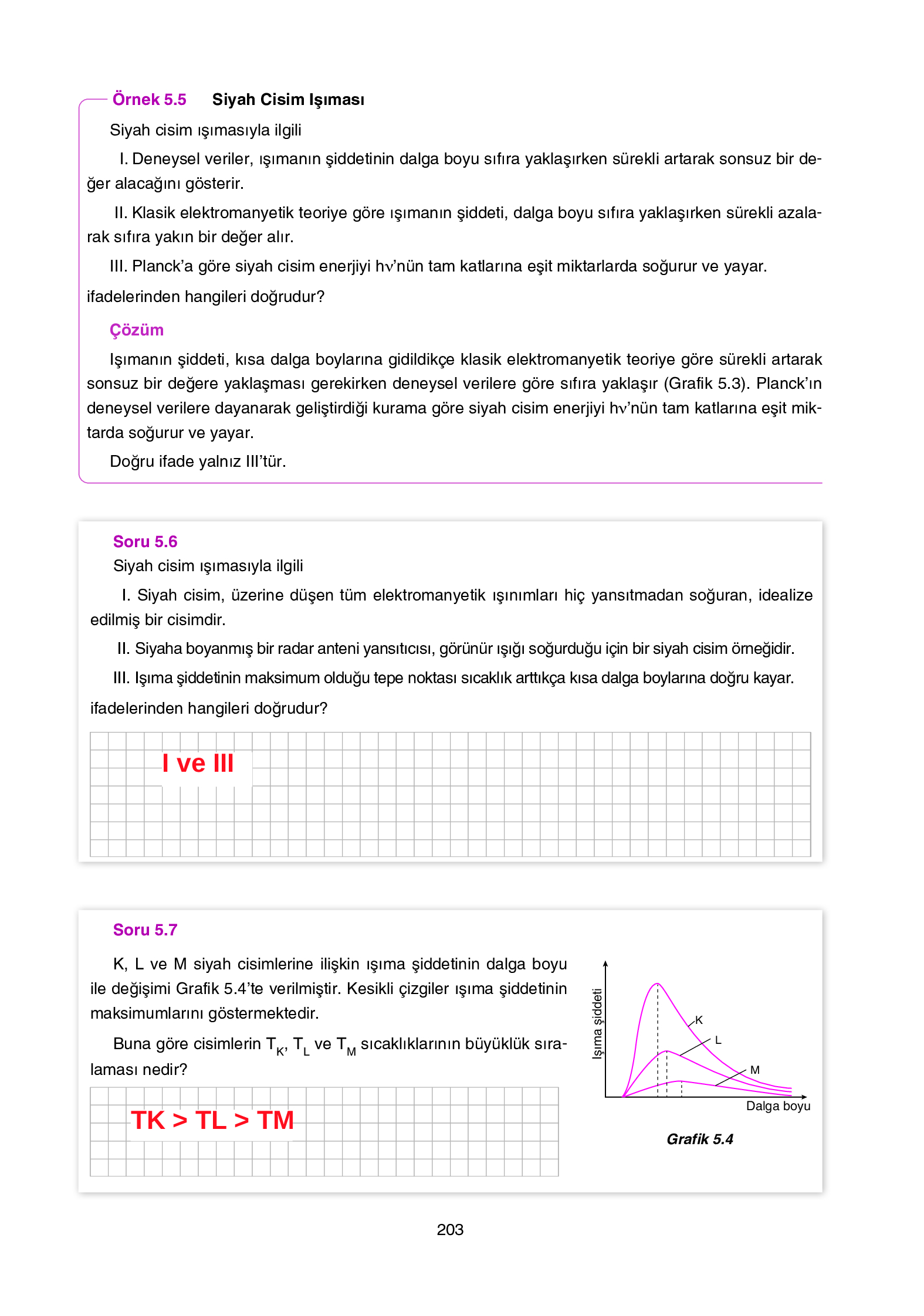 12. Sınıf Yıldırım Yayınları Fizik Ders Kitabı Sayfa 203 Cevapları
