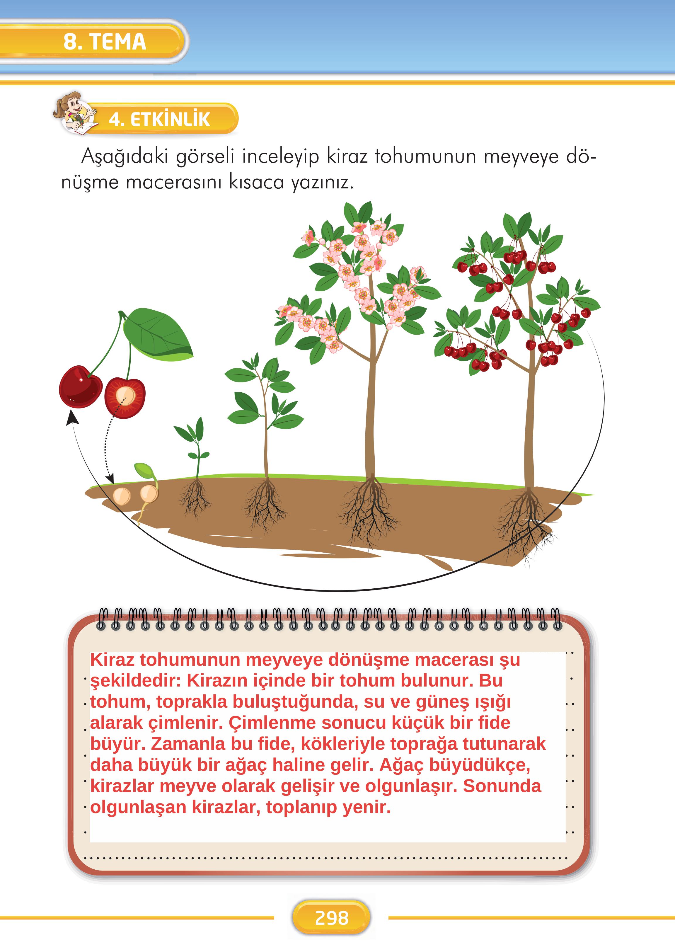 2. Sınıf İlke Yayınları Türkçe Ders Kitabı Sayfa 298 Cevapları