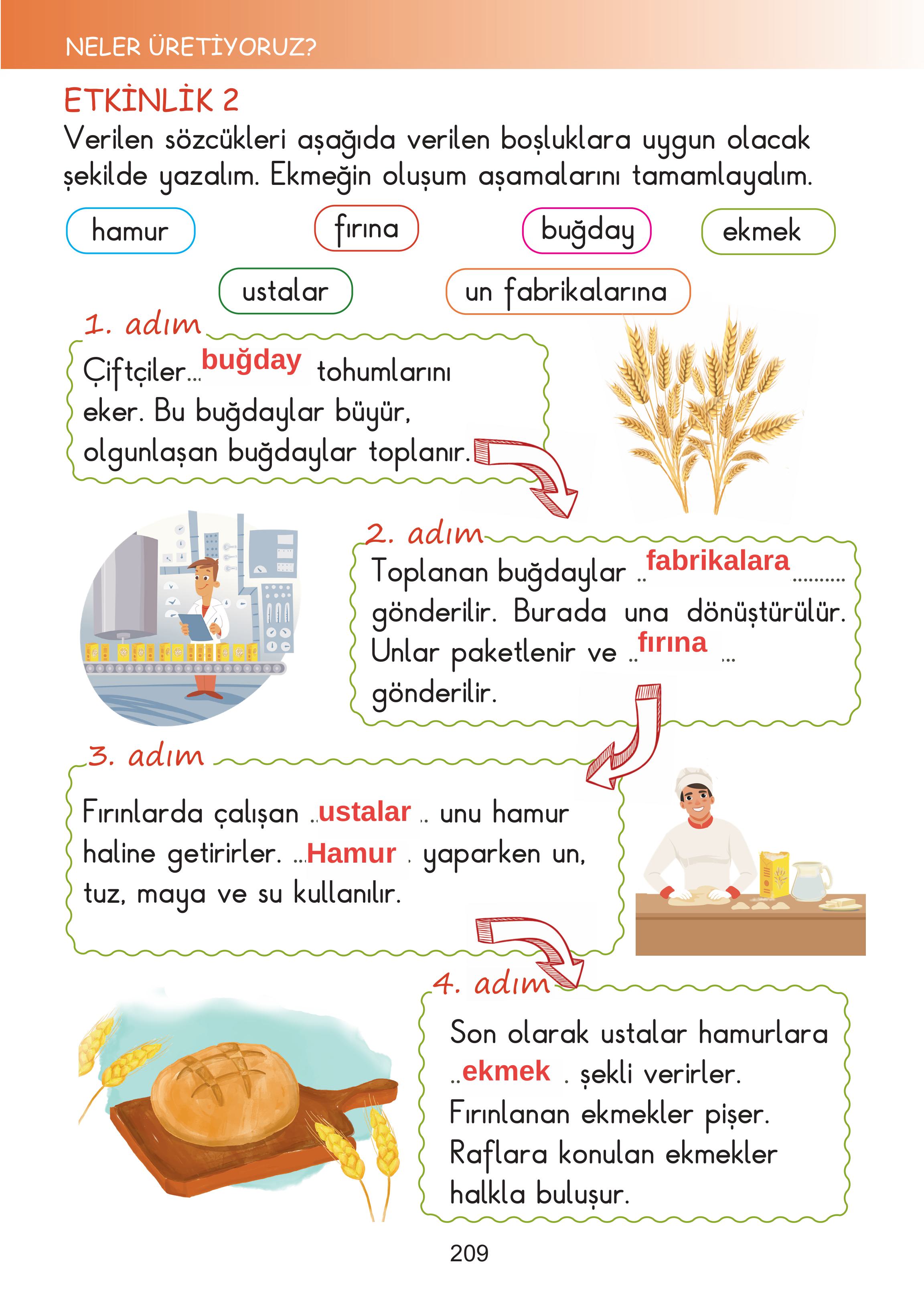 2. Sınıf Meb Yayınları Hayat Bilgisi Ders Kitabı Sayfa 209 Cevapları
