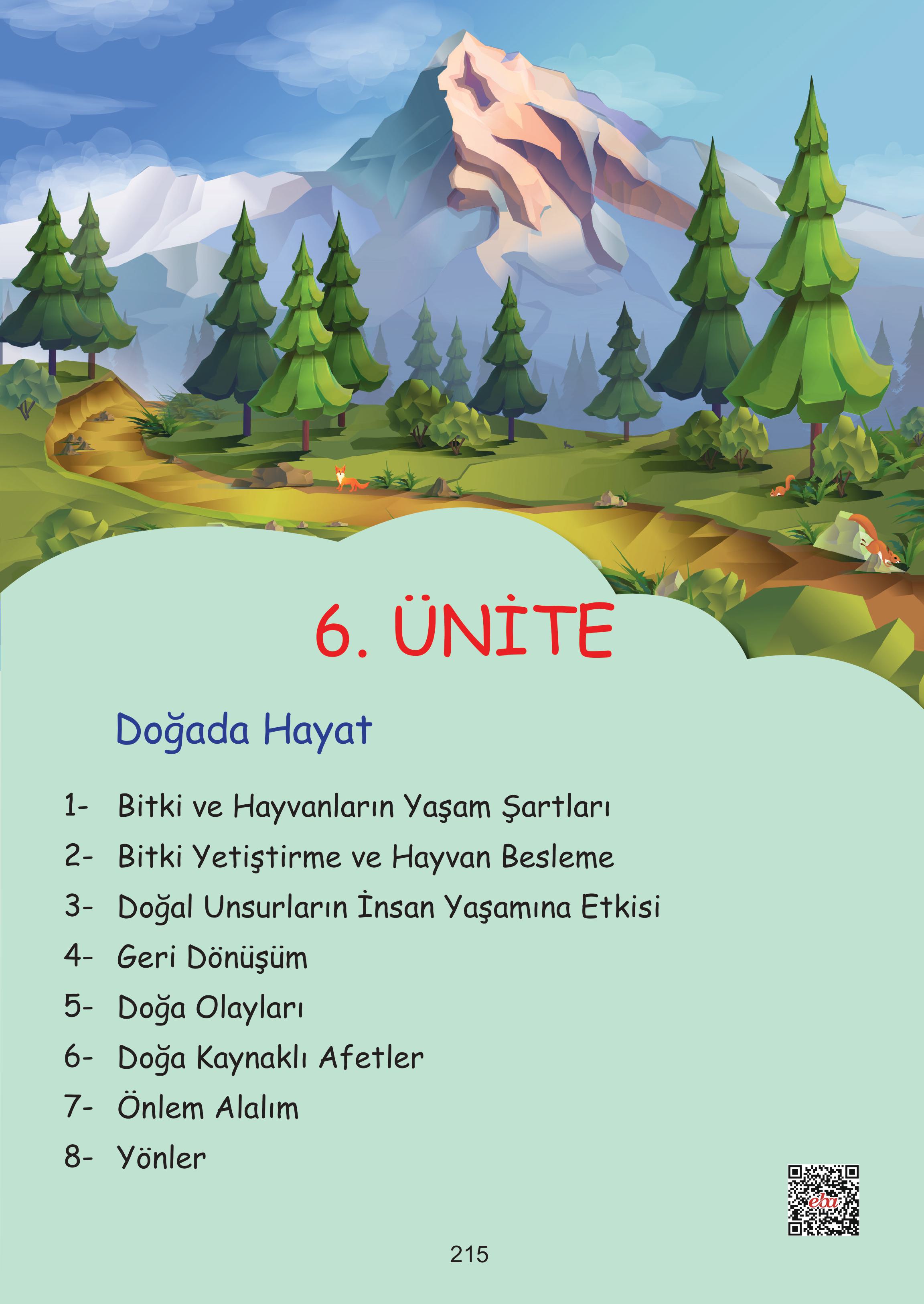 2. Sınıf Meb Yayınları Hayat Bilgisi Ders Kitabı Sayfa 215 Cevapları