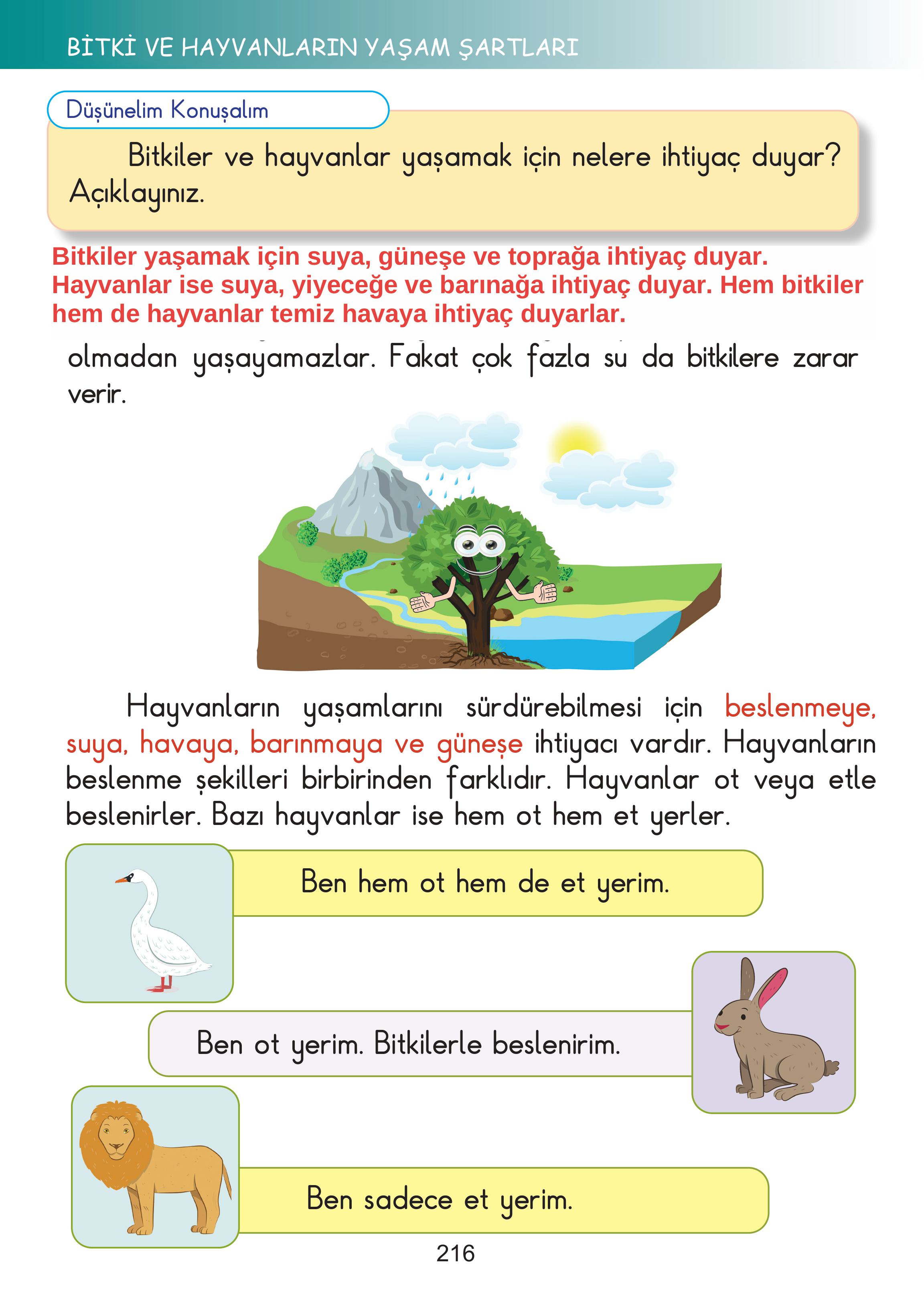 2. Sınıf Meb Yayınları Hayat Bilgisi Ders Kitabı Sayfa 216 Cevapları