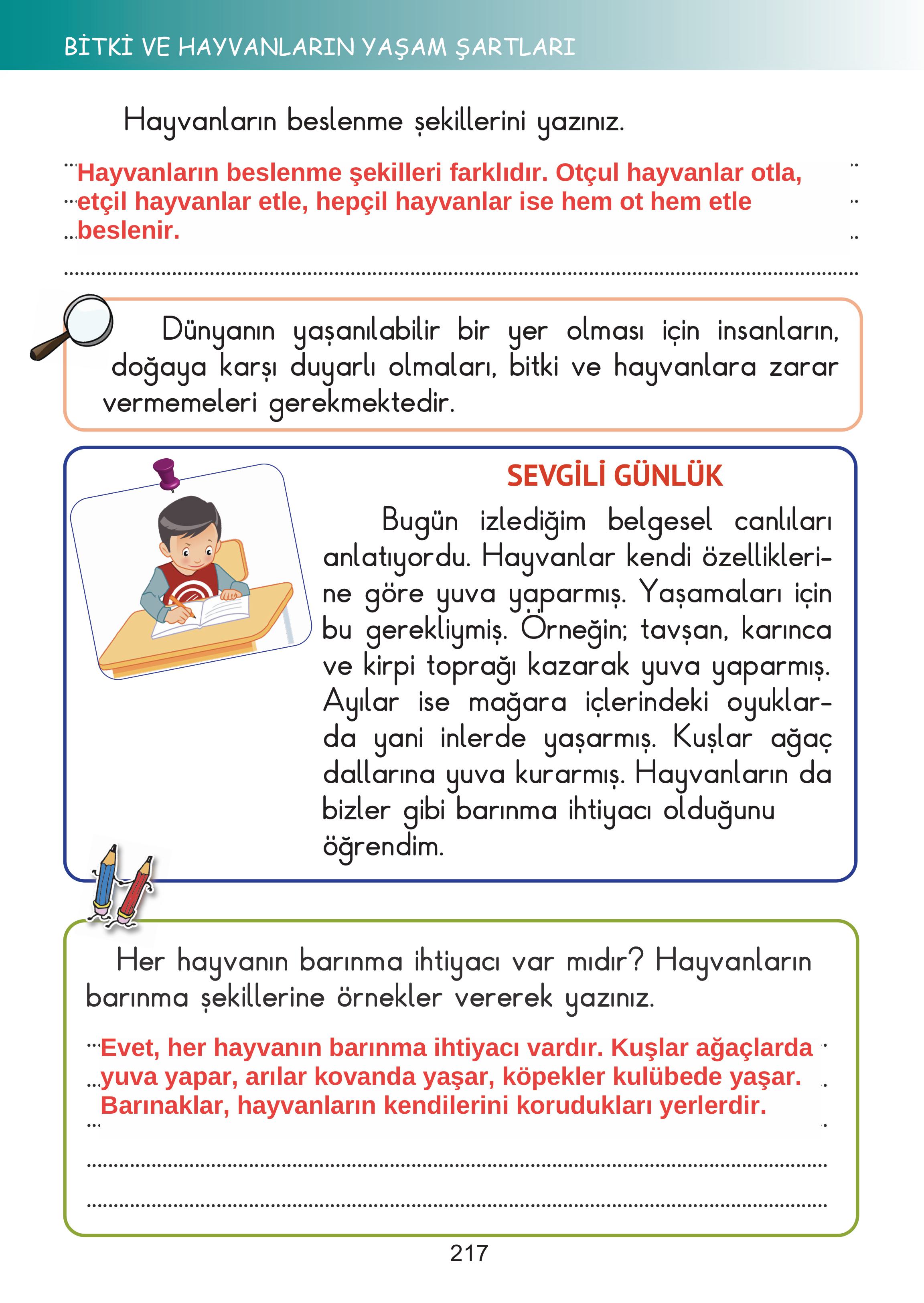 2. Sınıf Meb Yayınları Hayat Bilgisi Ders Kitabı Sayfa 217 Cevapları