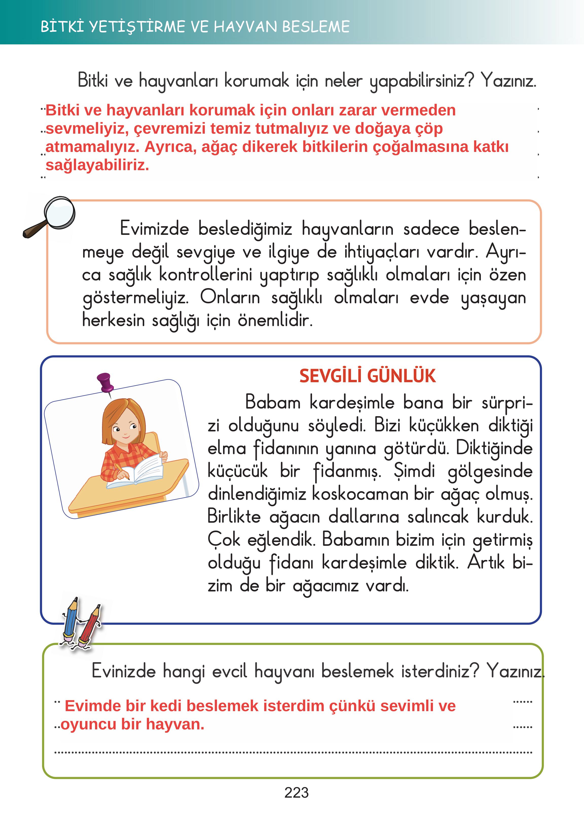 2. Sınıf Meb Yayınları Hayat Bilgisi Ders Kitabı Sayfa 223 Cevapları