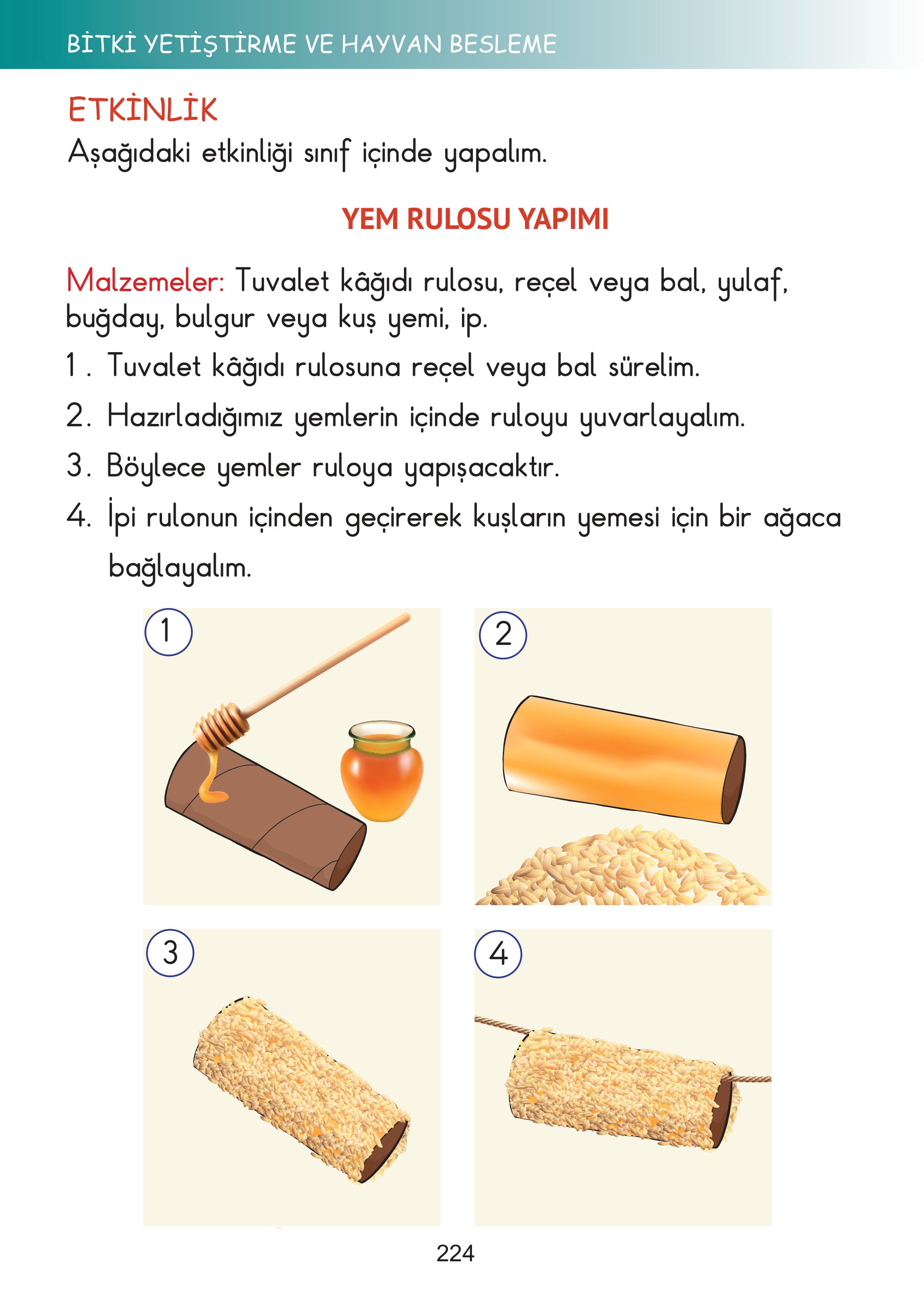 2. Sınıf Meb Yayınları Hayat Bilgisi Ders Kitabı Sayfa 224 Cevapları 2. Sınıf Meb Yayınları Hayat Bilgisi Ders Kitabı Sayfa 224 Cevapları