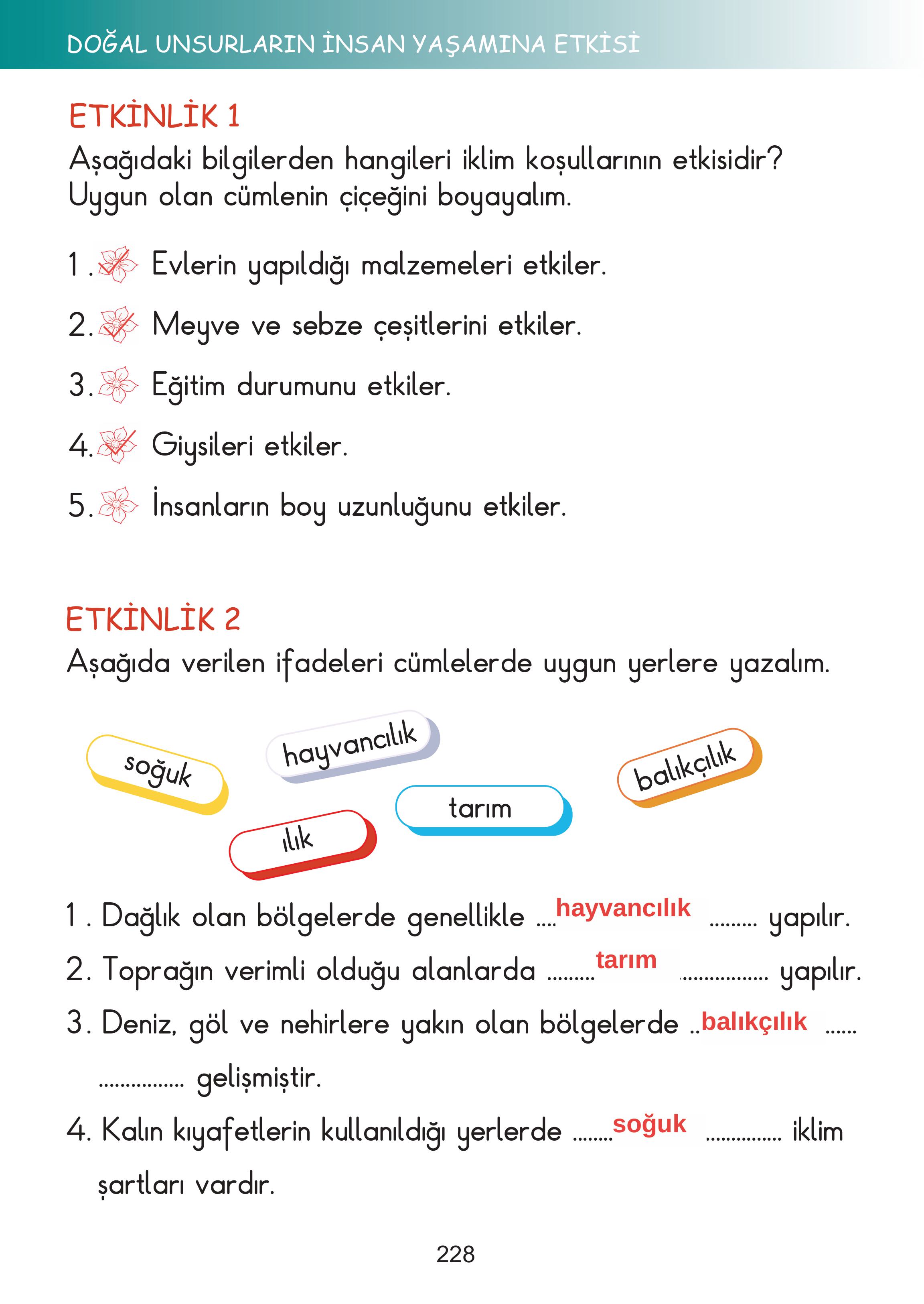 2. Sınıf Meb Yayınları Hayat Bilgisi Ders Kitabı Sayfa 228 Cevapları