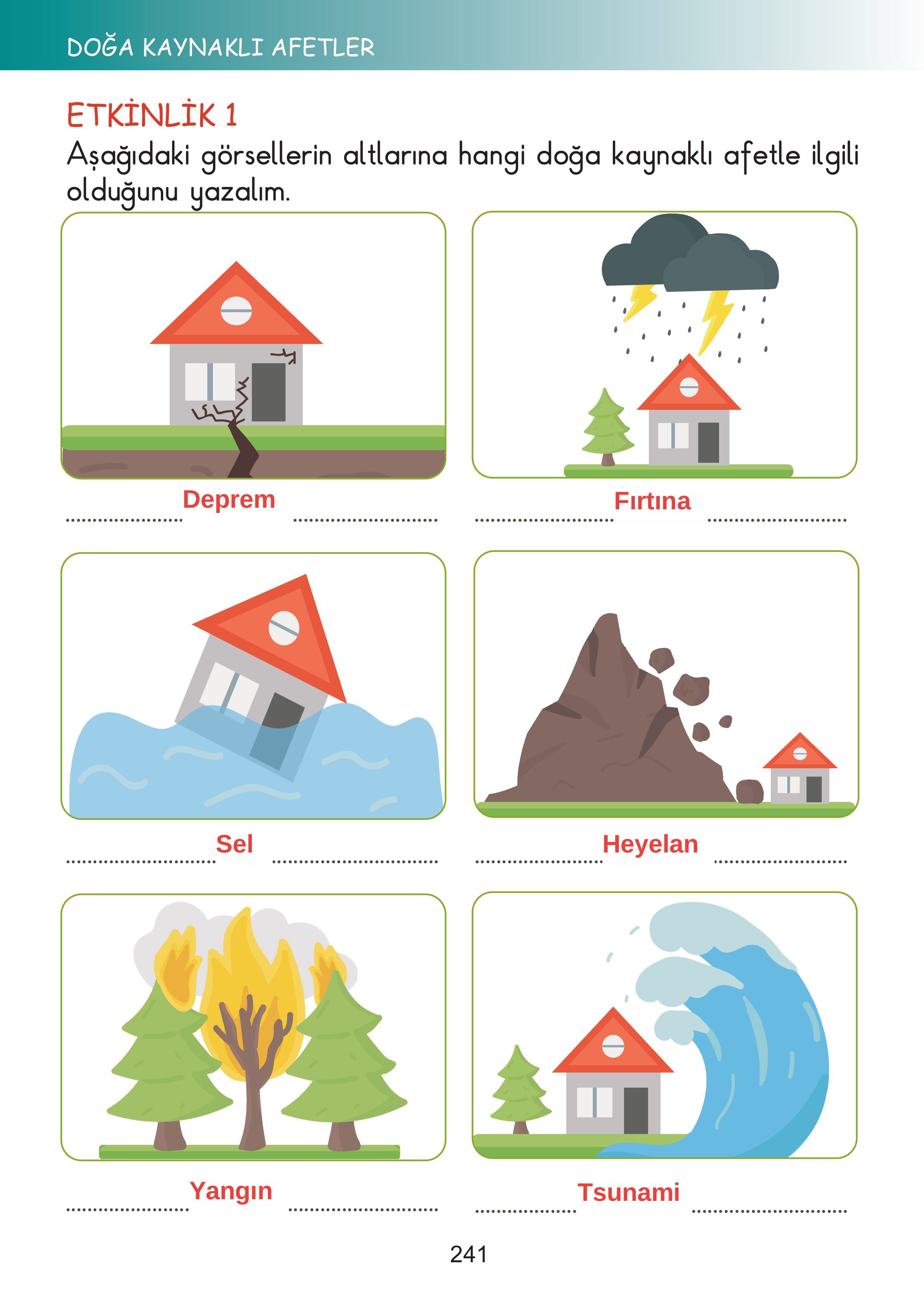 2. Sınıf Meb Yayınları Hayat Bilgisi Ders Kitabı Sayfa 241 Cevapları
