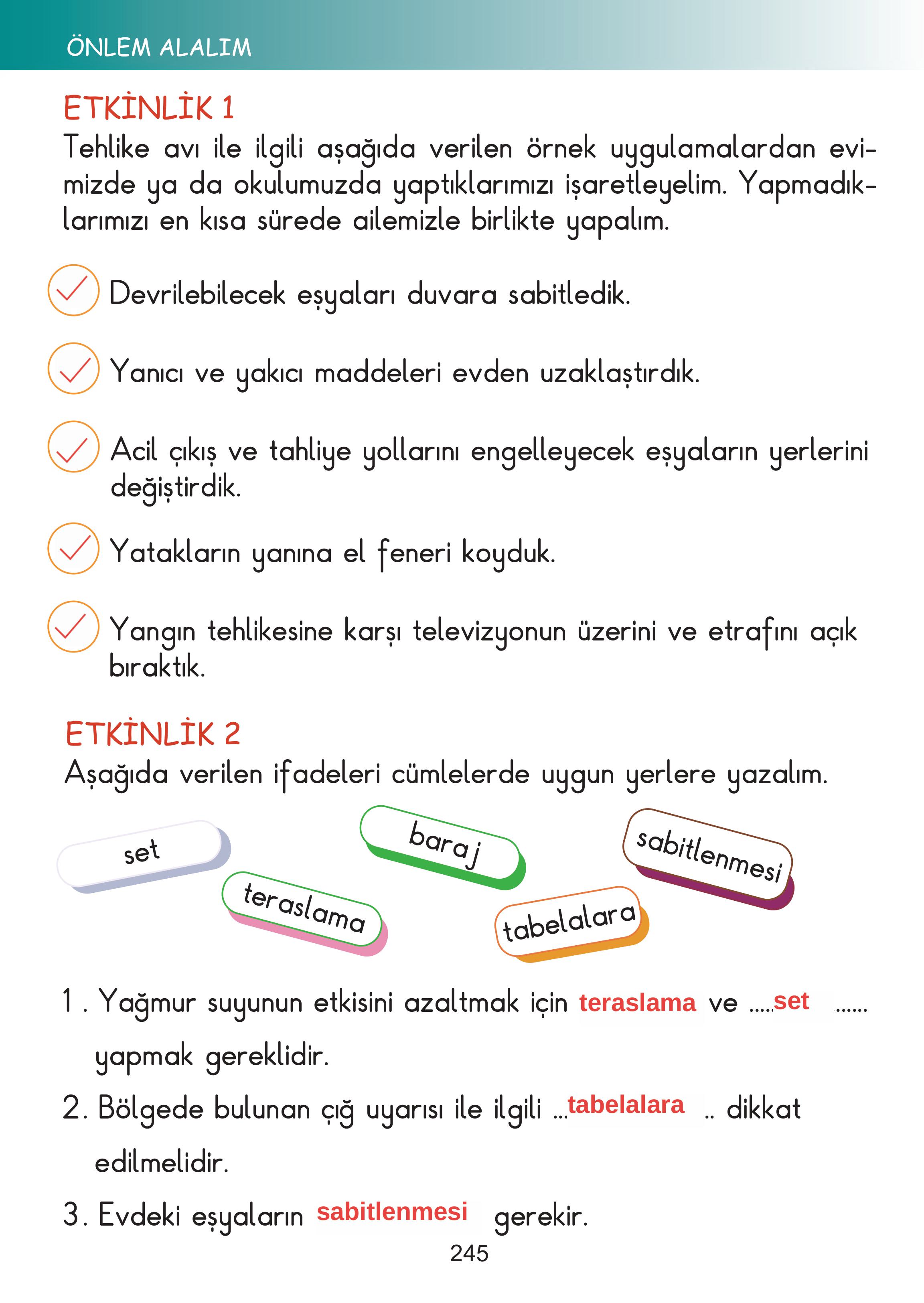 2. Sınıf Meb Yayınları Hayat Bilgisi Ders Kitabı Sayfa 245 Cevapları