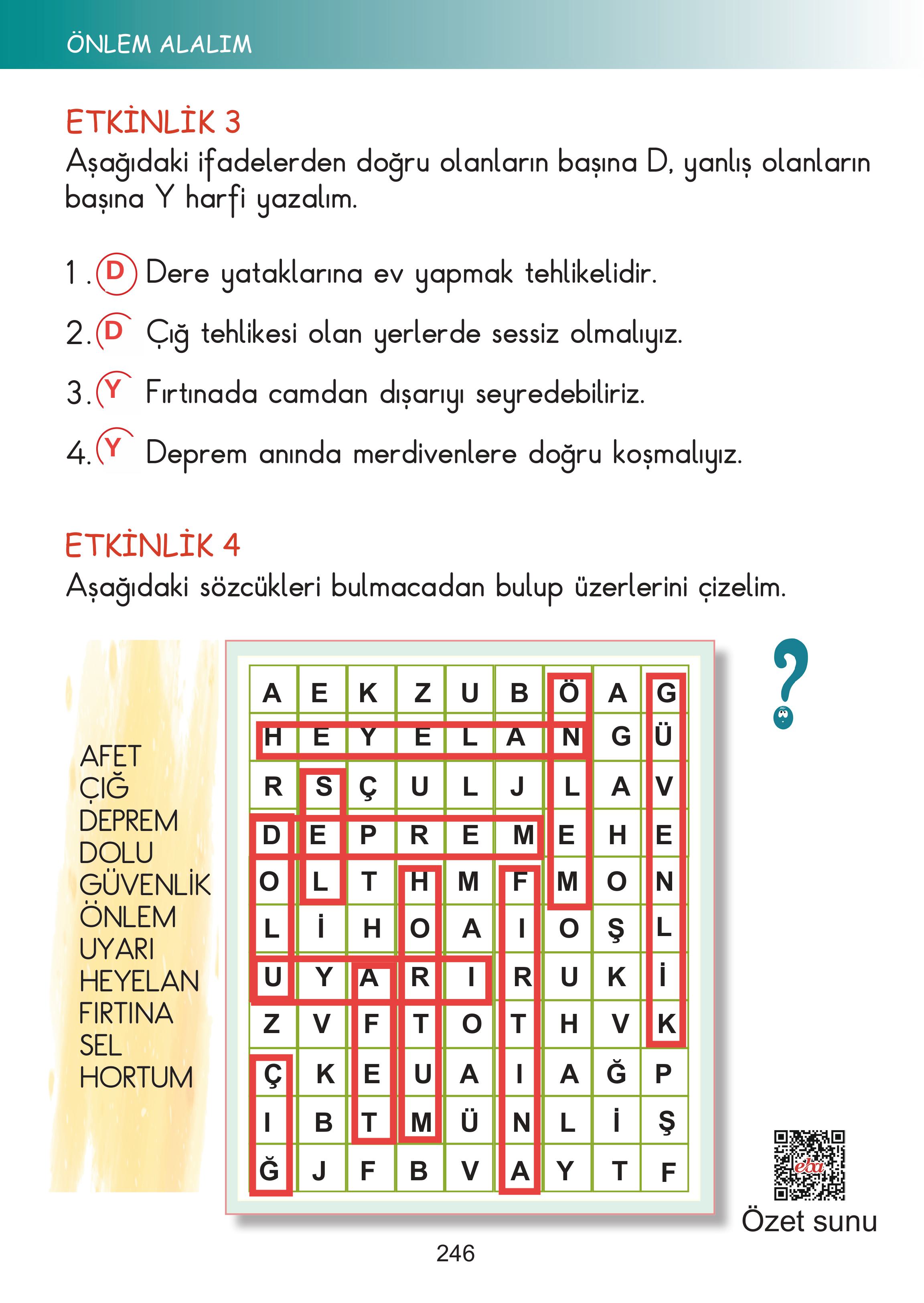2. Sınıf Meb Yayınları Hayat Bilgisi Ders Kitabı Sayfa 246 Cevapları