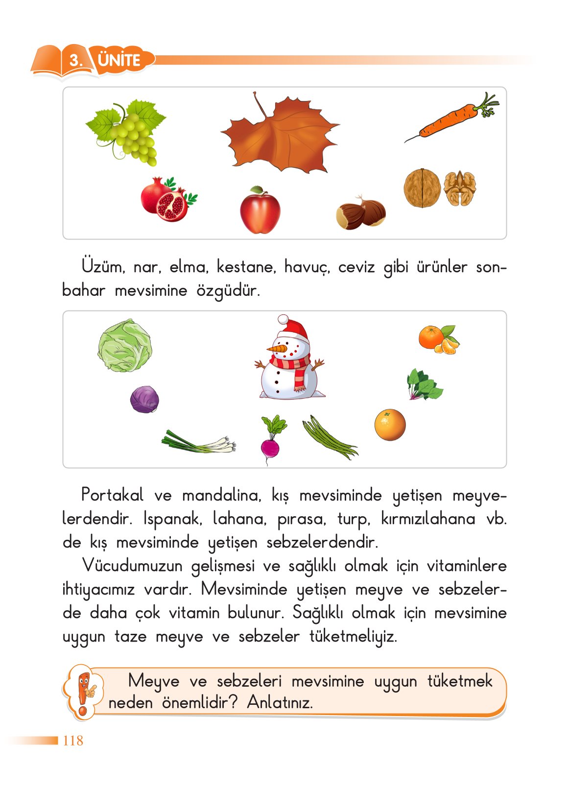 2. Sınıf Sdr Yayıncılık Hayat Bilgisi Ders Kitabı Sayfa 119 Cevapları