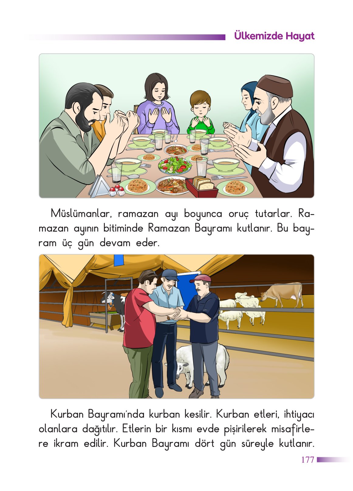 2. Sınıf Sdr Yayıncılık Hayat Bilgisi Ders Kitabı Sayfa 178 Cevapları