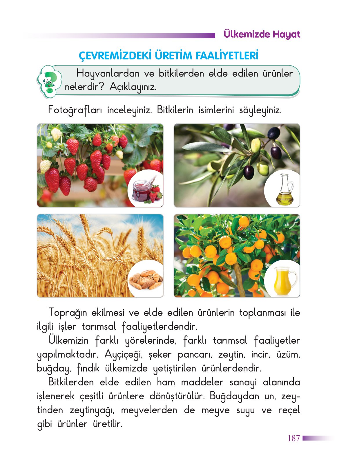 2. Sınıf Sdr Yayıncılık Hayat Bilgisi Ders Kitabı Sayfa 188 Cevapları