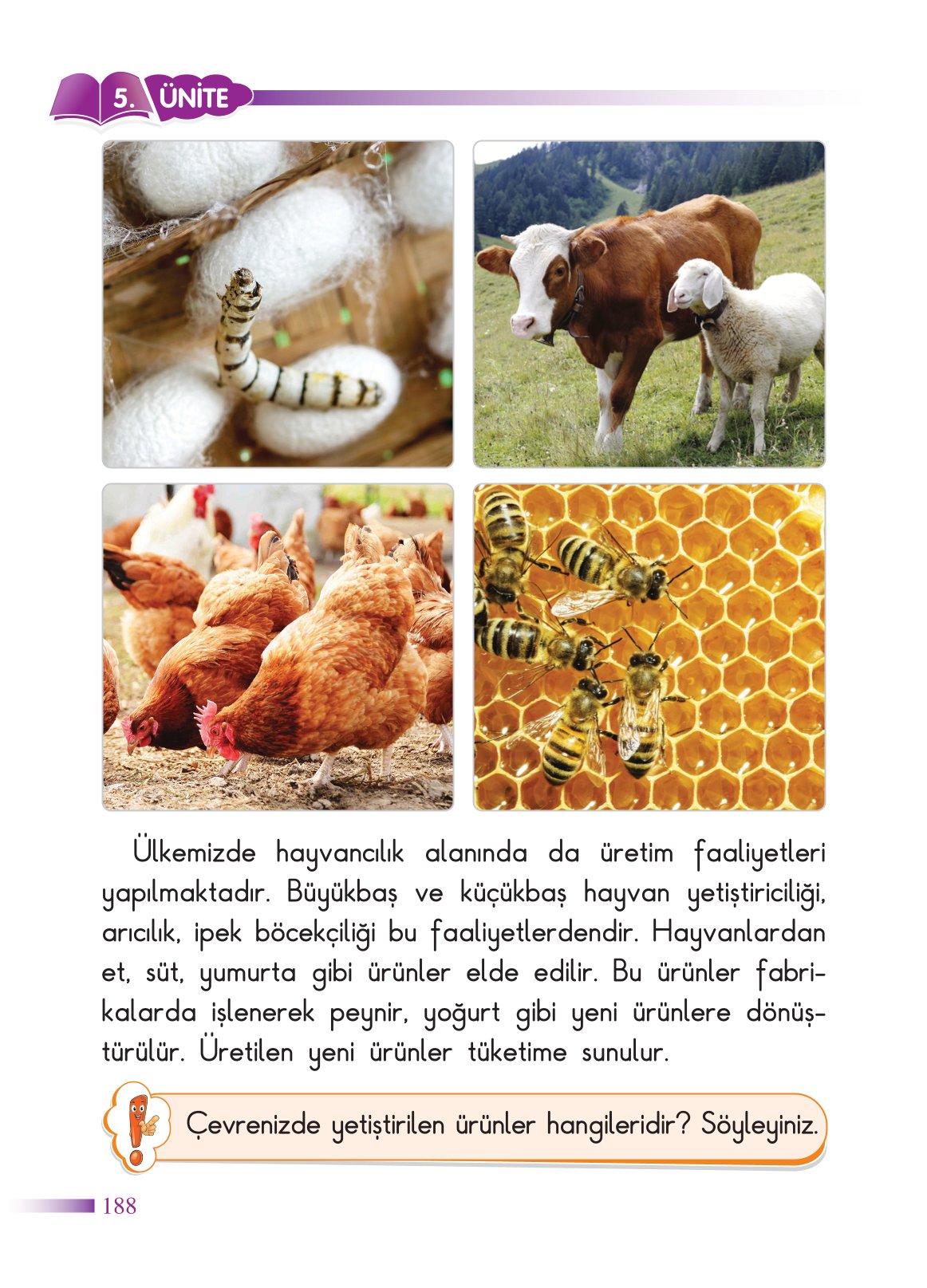 2. Sınıf Sdr Yayıncılık Hayat Bilgisi Ders Kitabı Sayfa 189 Cevapları