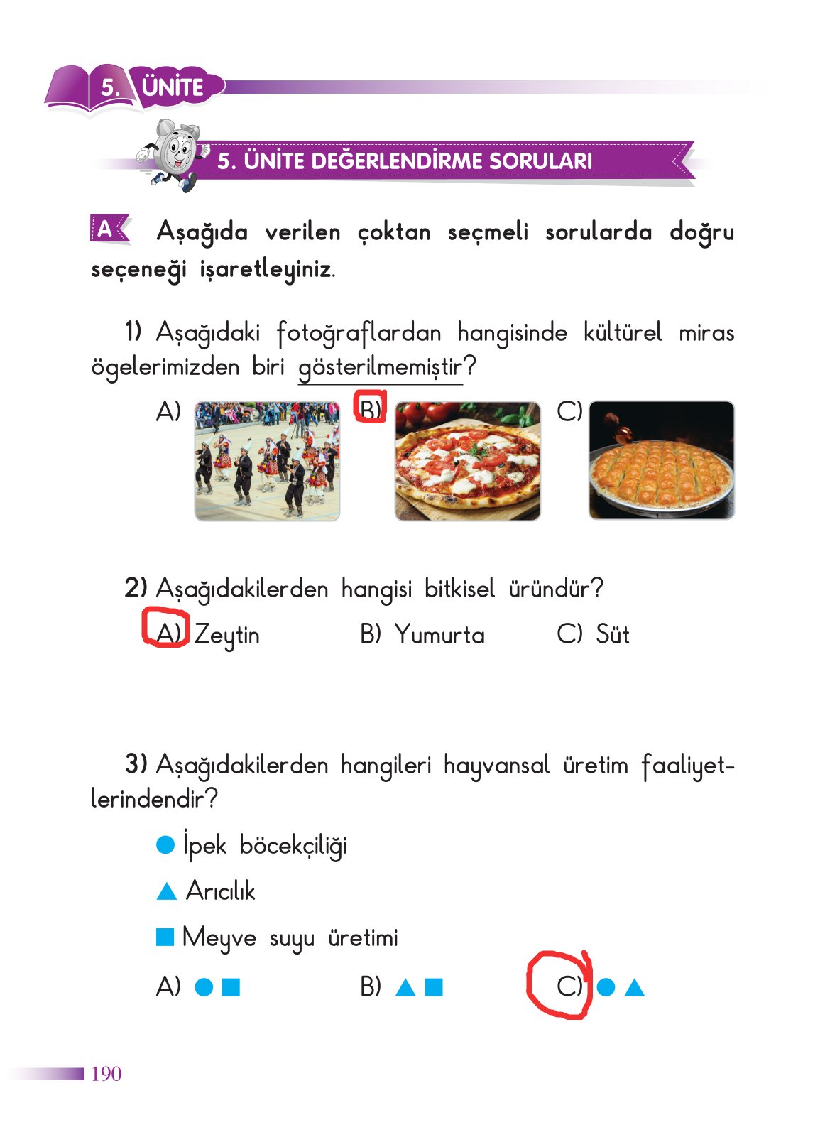 2. Sınıf Sdr Yayıncılık Hayat Bilgisi Ders Kitabı Sayfa 191 Cevapları
