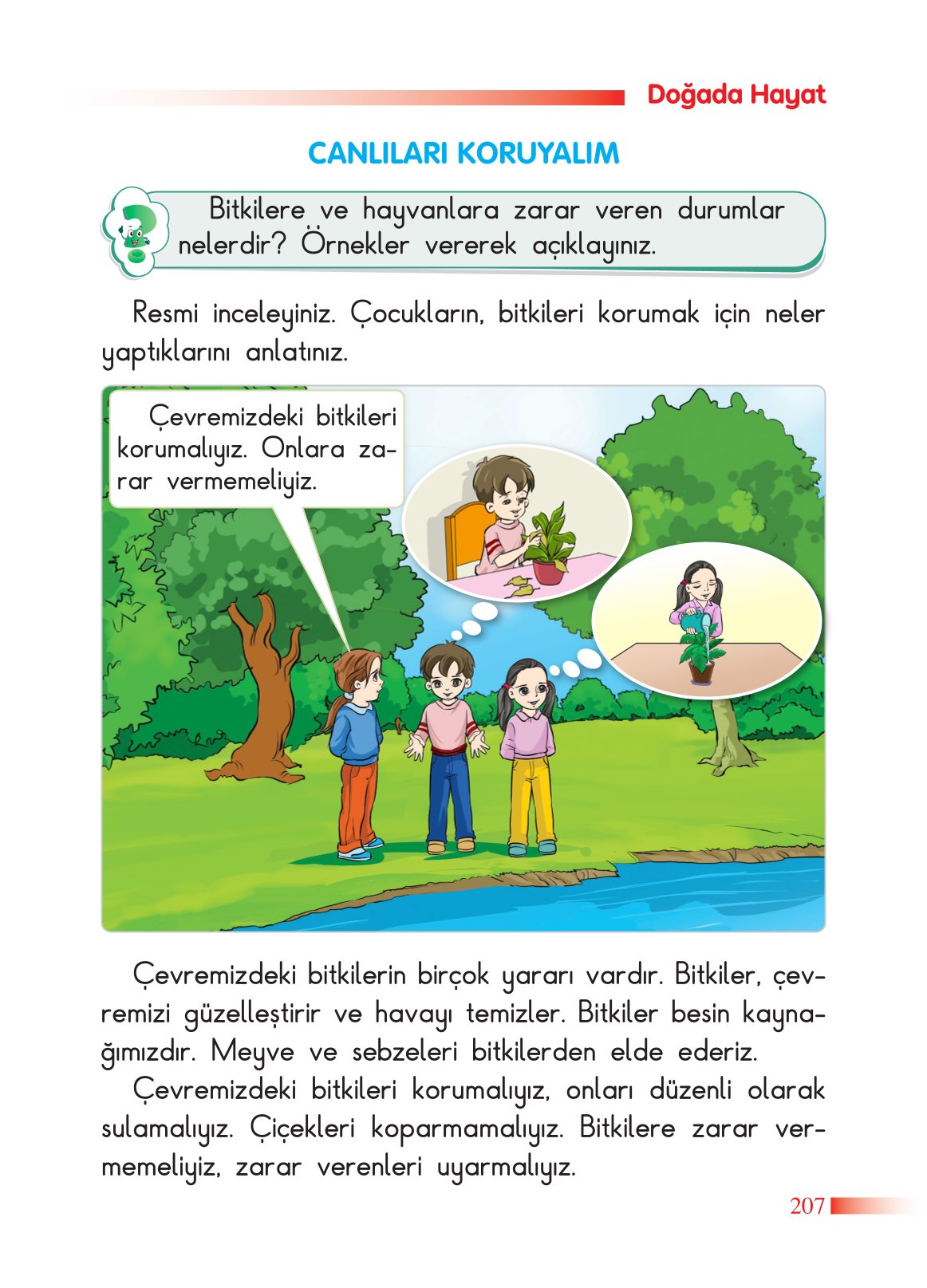 2. Sınıf Sdr Yayıncılık Hayat Bilgisi Ders Kitabı Sayfa 208 Cevapları