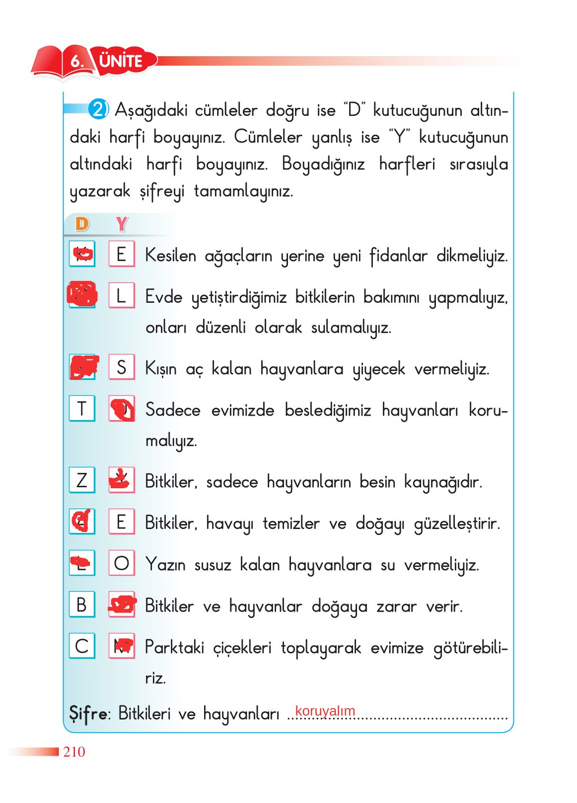 2. Sınıf Sdr Yayıncılık Hayat Bilgisi Ders Kitabı Sayfa 211 Cevapları