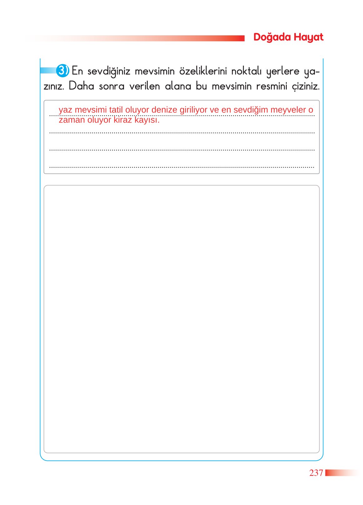 2. Sınıf Sdr Yayıncılık Hayat Bilgisi Ders Kitabı Sayfa 238 Cevapları