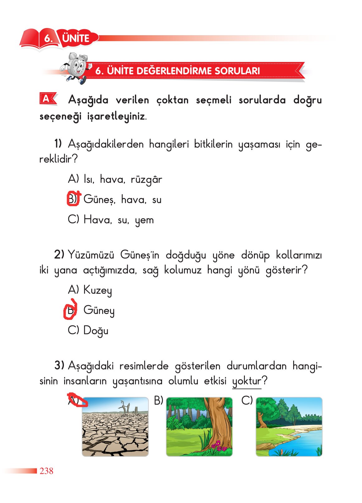 2. Sınıf Sdr Yayıncılık Hayat Bilgisi Ders Kitabı Sayfa 239 Cevapları