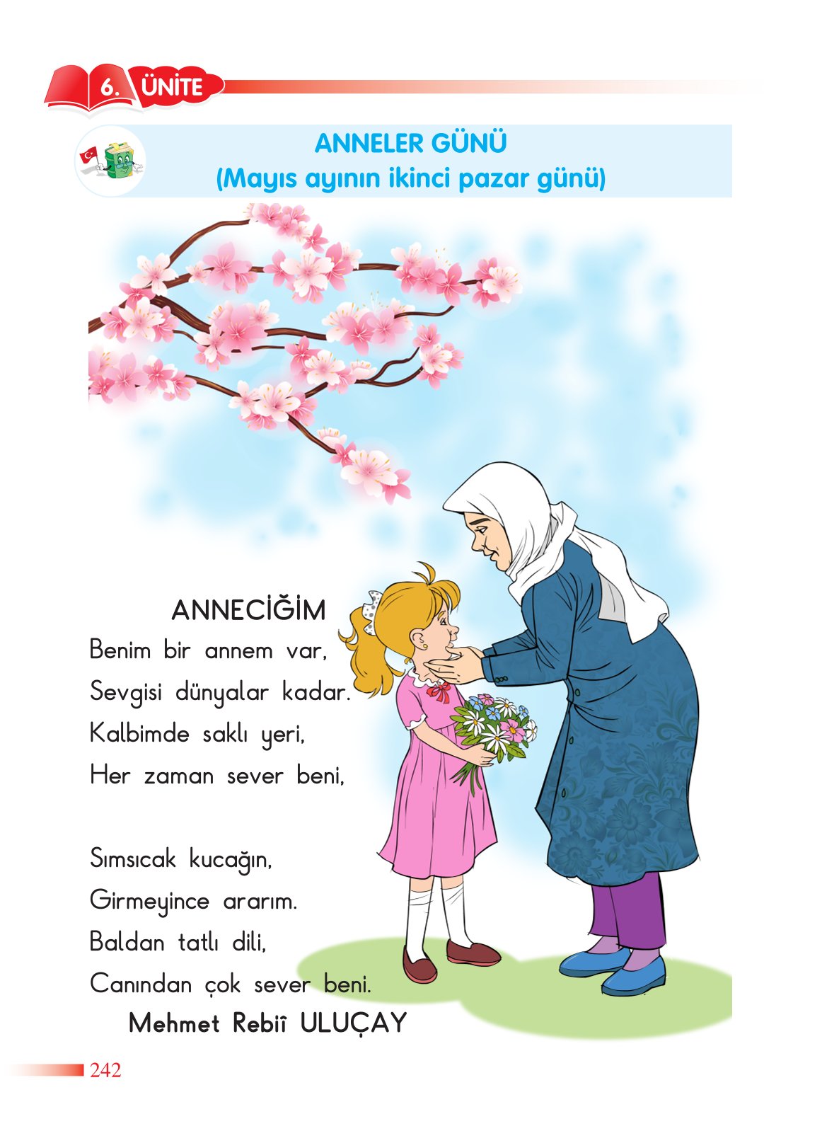 2. Sınıf Sdr Yayıncılık Hayat Bilgisi Ders Kitabı Sayfa 243 Cevapları