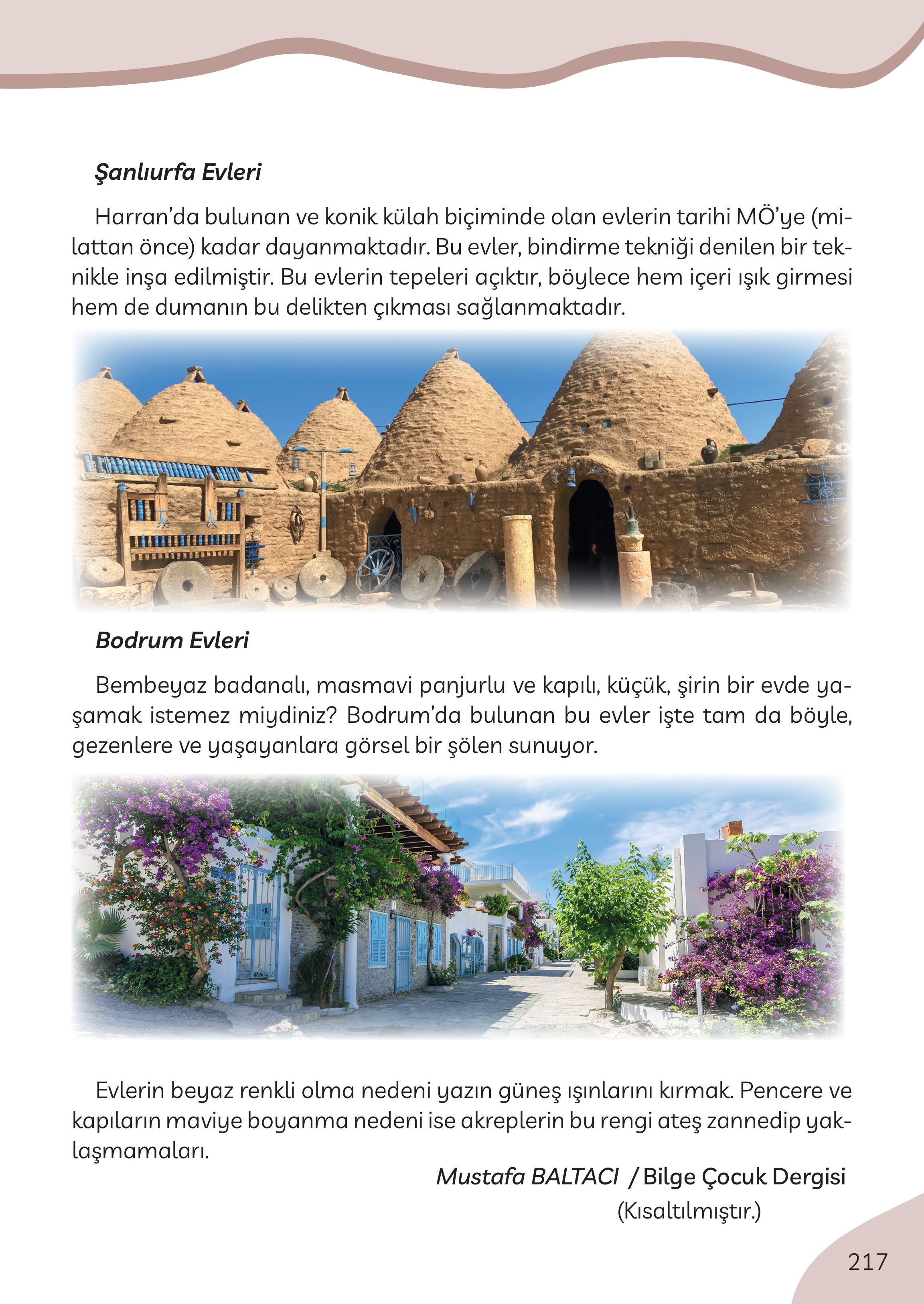 3. Sınıf Meb Yayınları Türkçe Ders Kitabı Sayfa 217 Cevapları 3. Sınıf Meb Yayınları Türkçe Ders Kitabı Sayfa 217 Cevapları