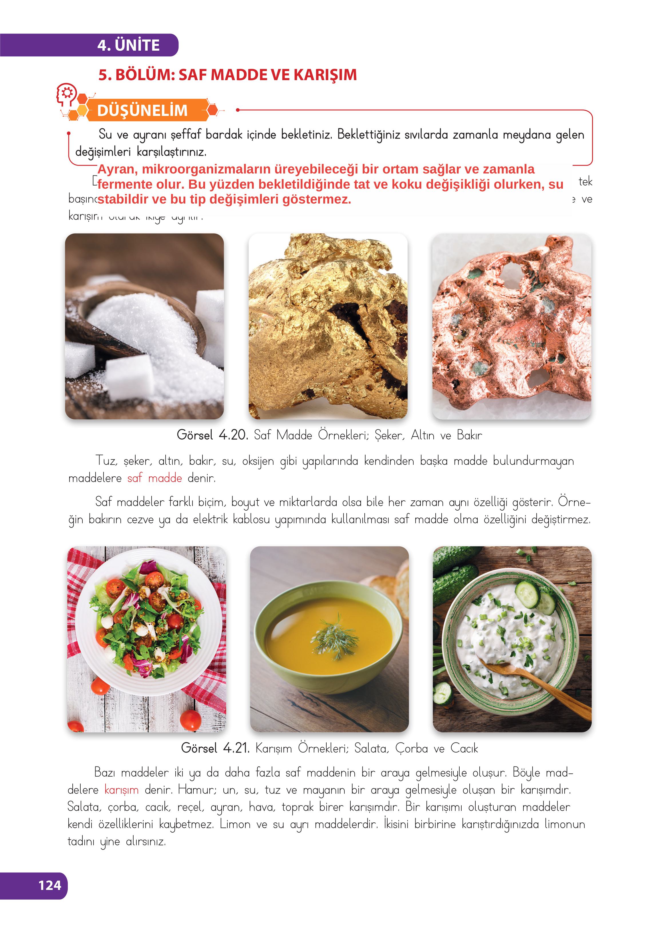 4. Sınıf Meb Yayınları Fen Bilimleri Ders Kitabı Sayfa 124 Cevapları