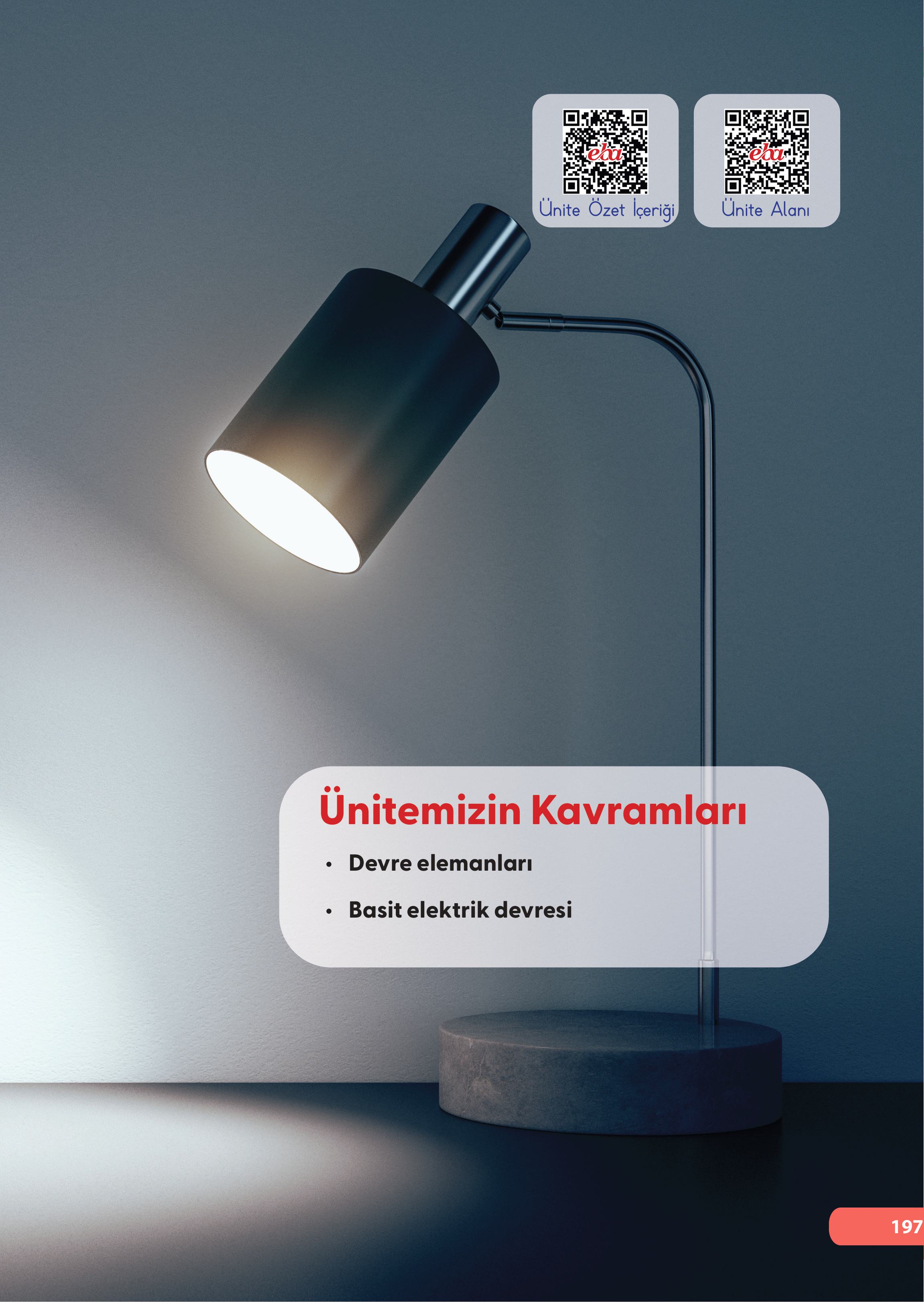 4. Sınıf Meb Yayınları Fen Bilimleri Ders Kitabı Sayfa 197 Cevapları