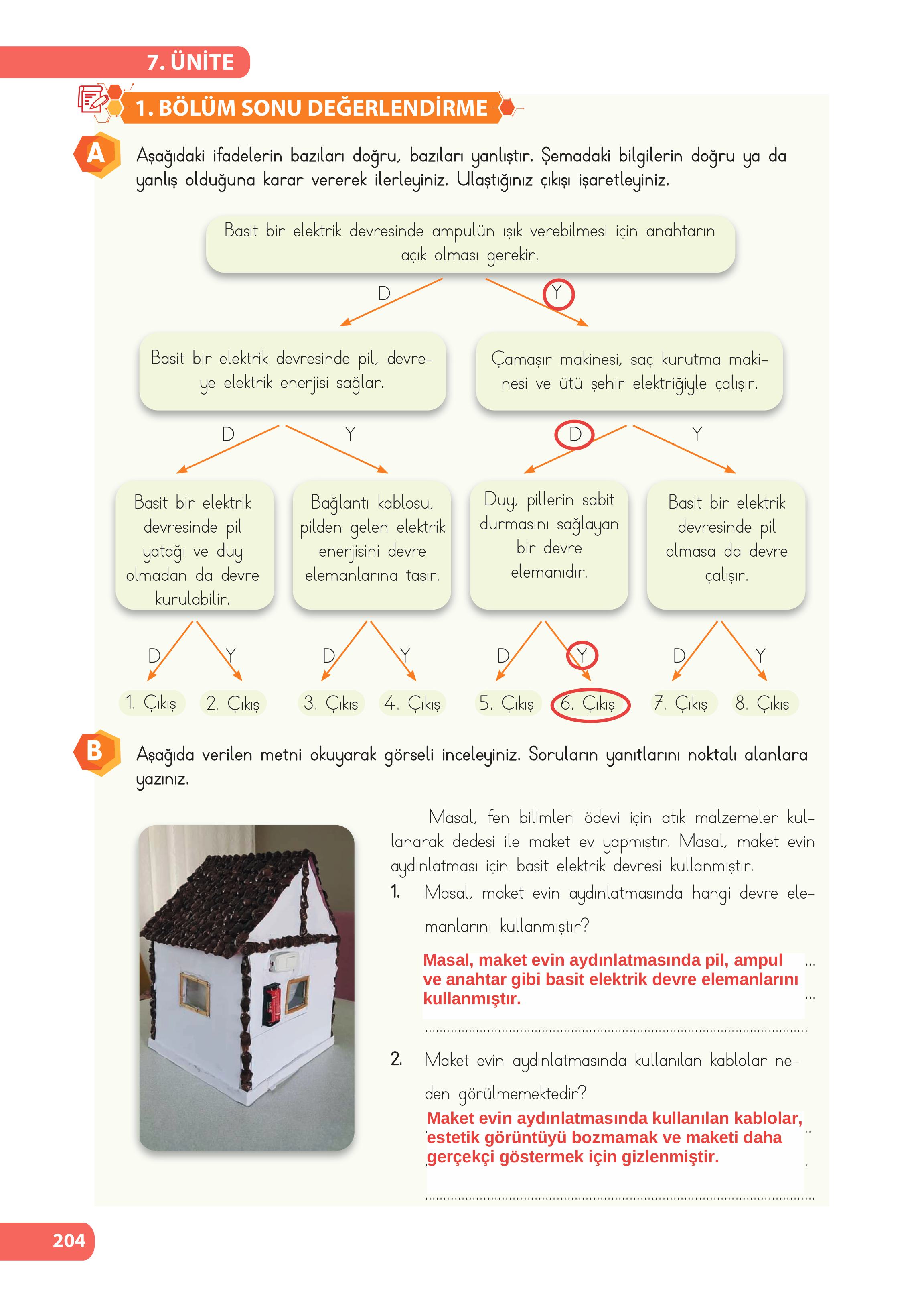 4. Sınıf Meb Yayınları Fen Bilimleri Ders Kitabı Sayfa 204 Cevapları