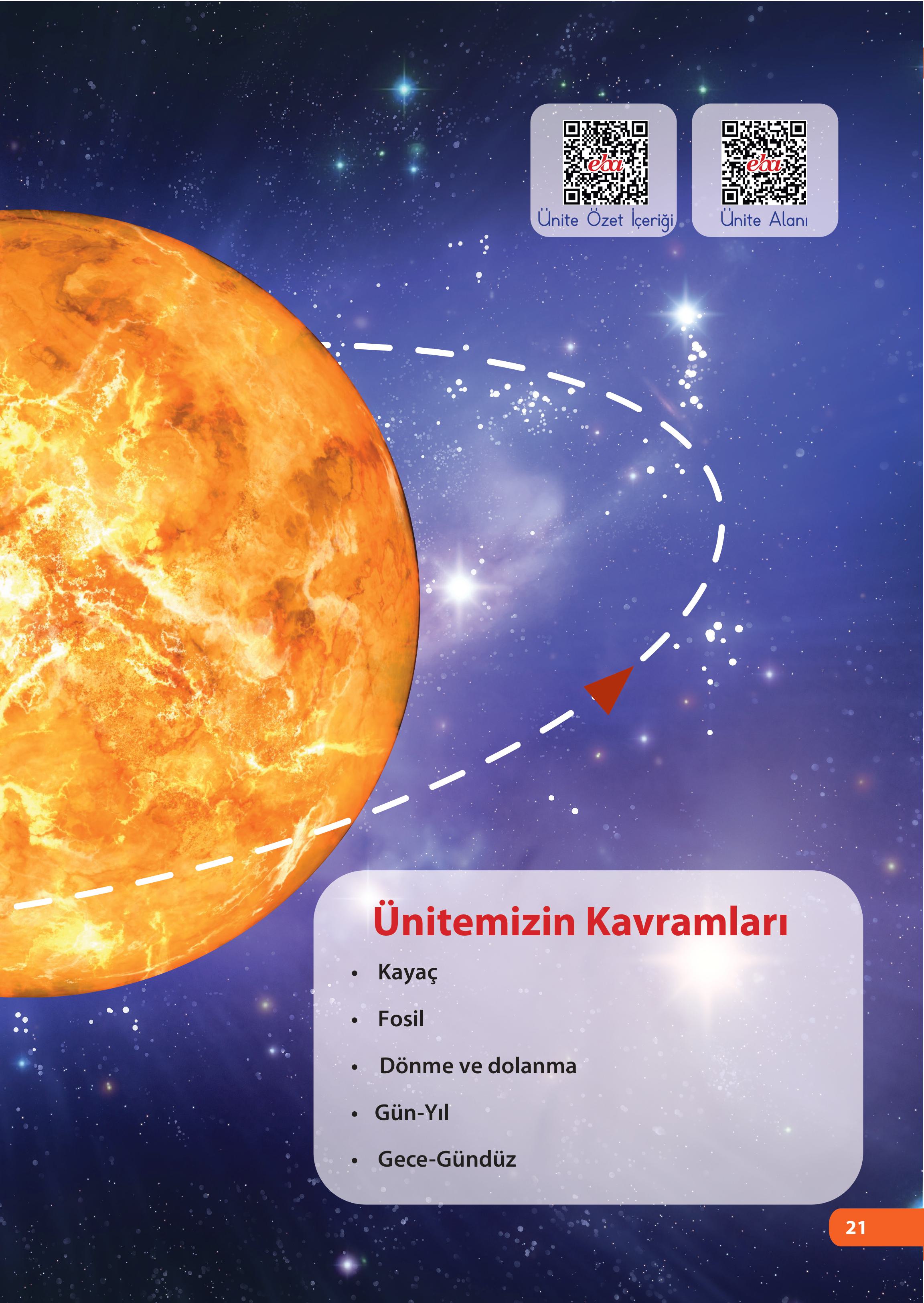 4. Sınıf Meb Yayınları Fen Bilimleri Ders Kitabı Sayfa 21 Cevapları